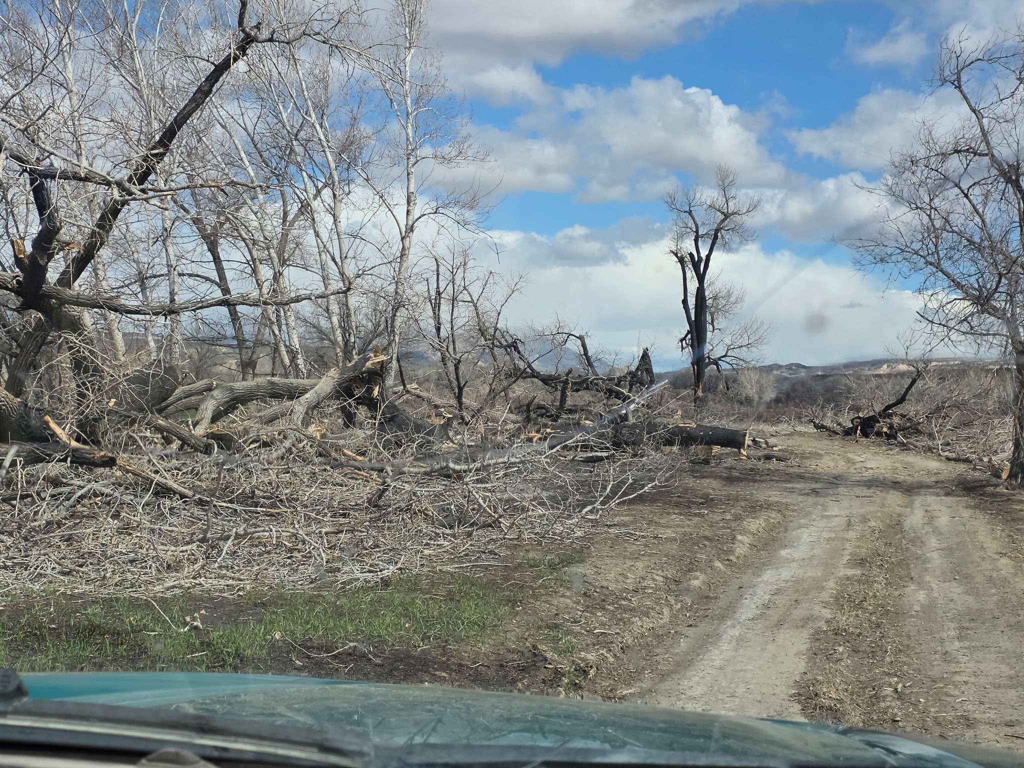 Roads Open in the Yellowtail Habitat Area