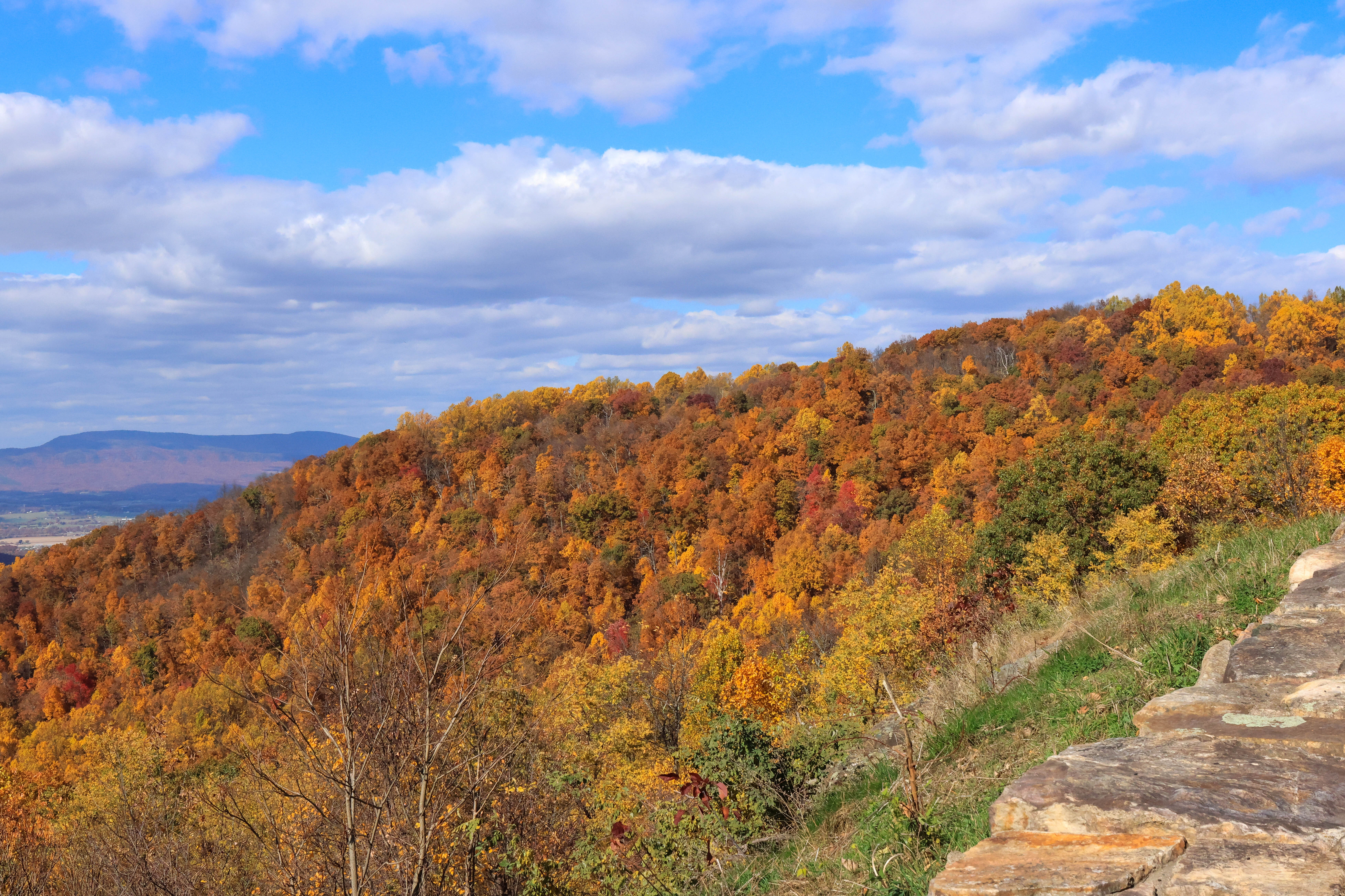 Critical road repairs begin between milepost 86 and 89 on the Blue Ridge Parkway