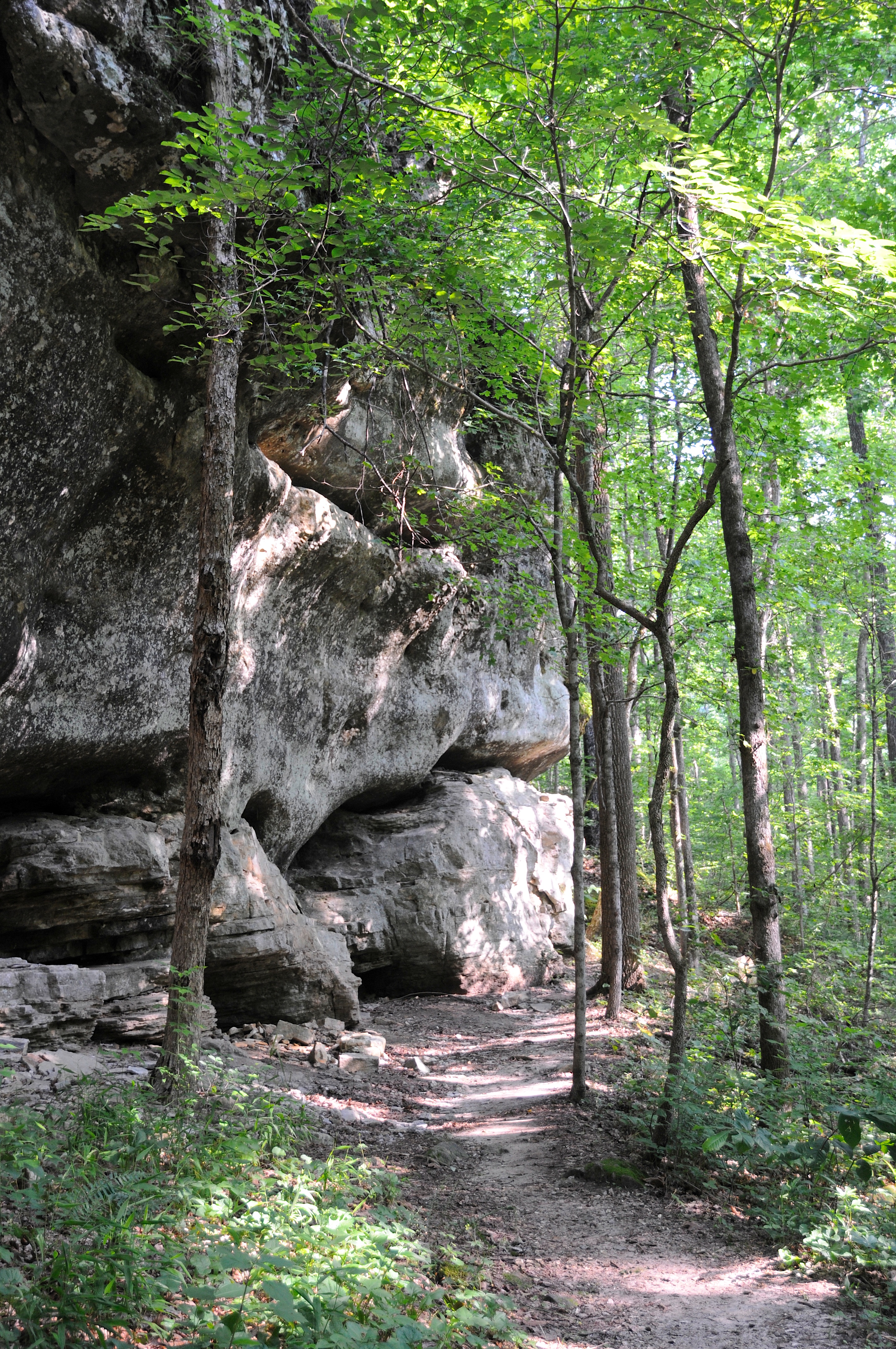 Buffalo National River Encourages Visitors to Explore Safely This Fall