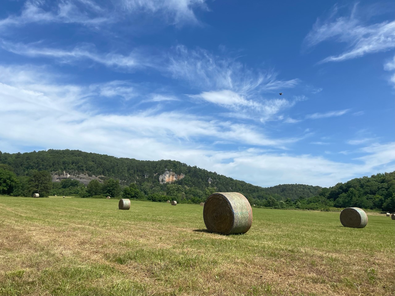 Agricultural Special Use Permit Application Period Opens September 15