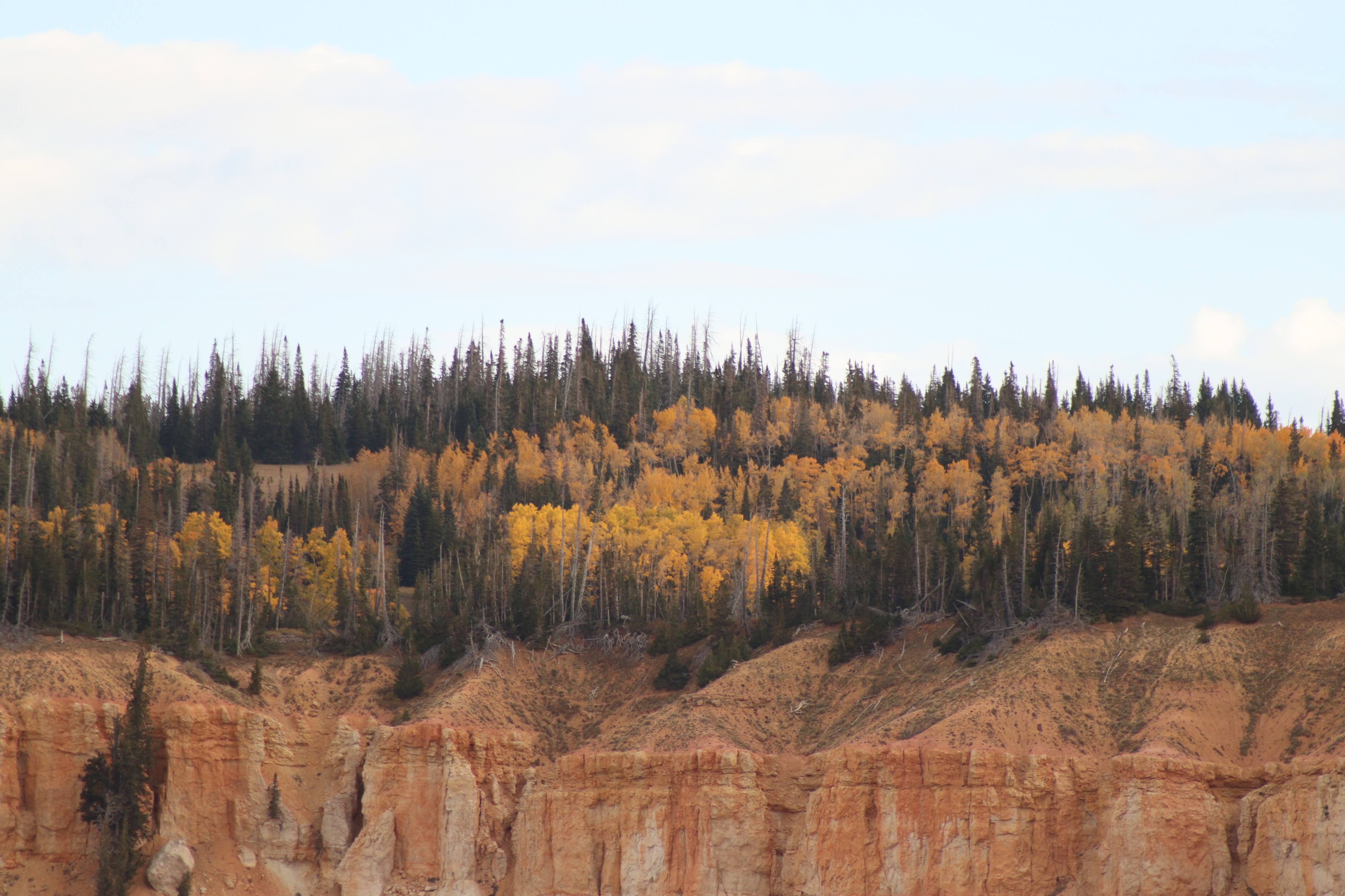 Cedar Breaks National Monument Winds Down Summer Operations