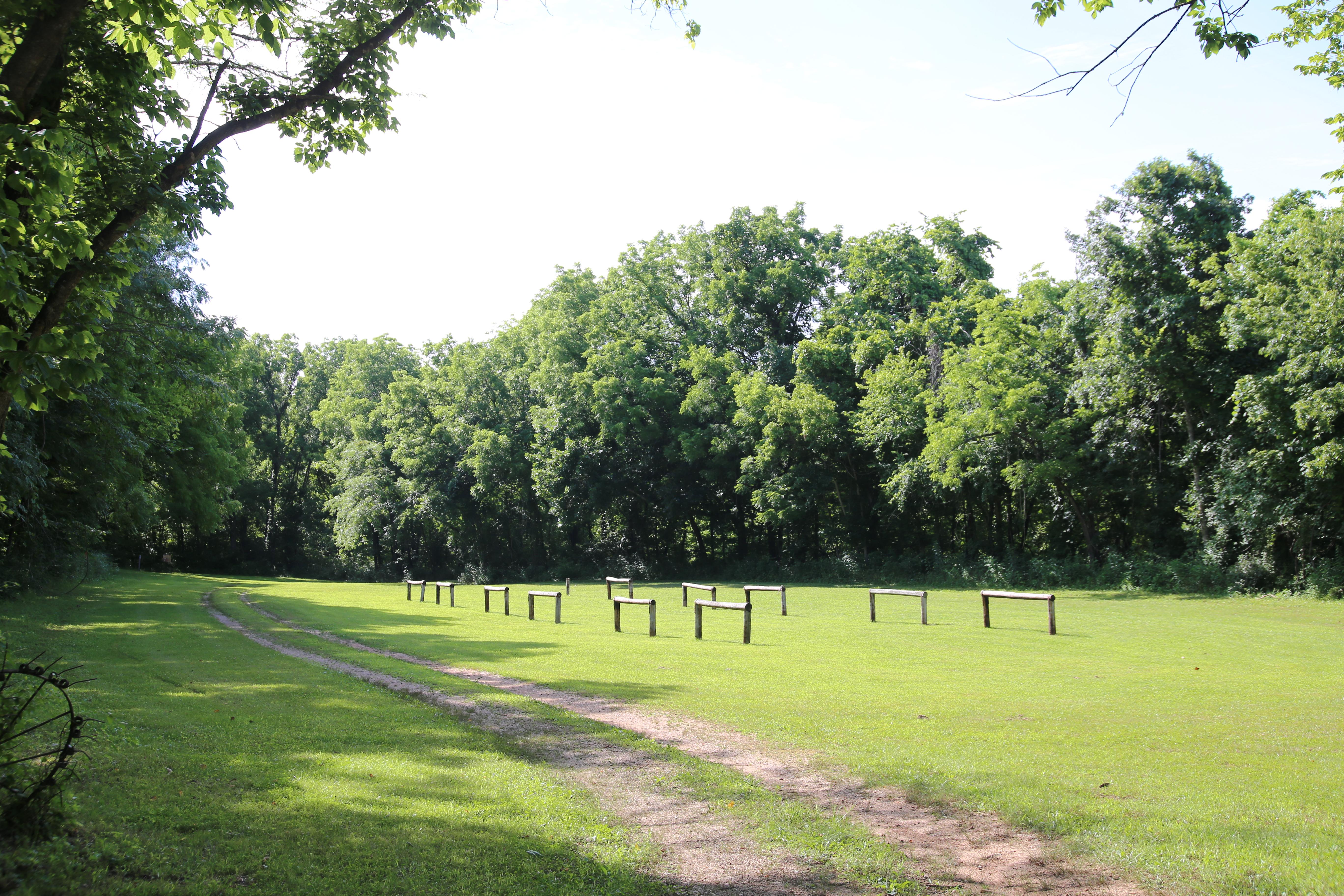 A mown grass field with hitching posts for horses.