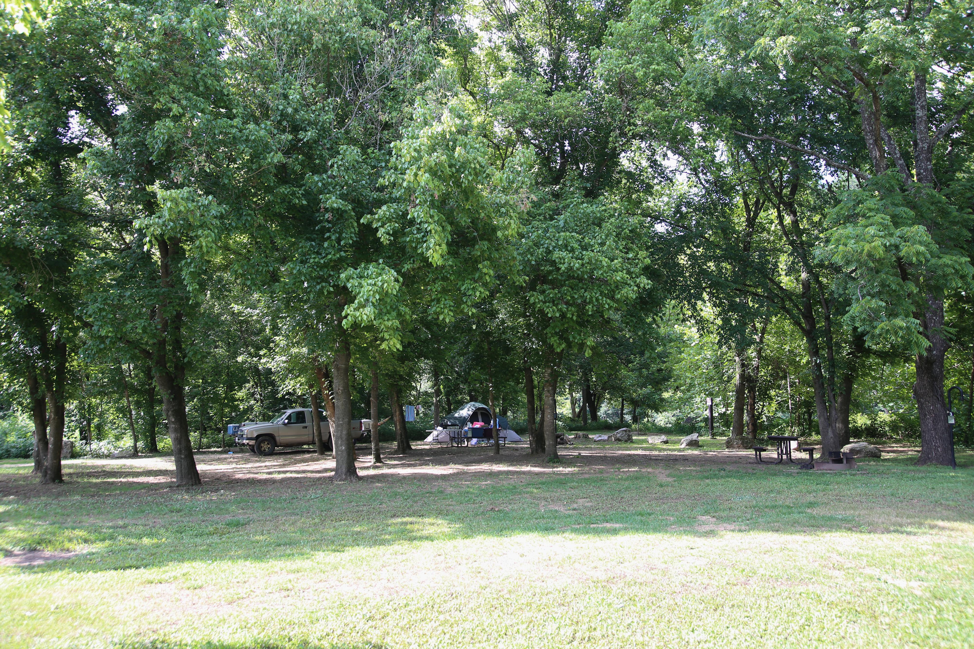 Two campsites with lush trees overhead.