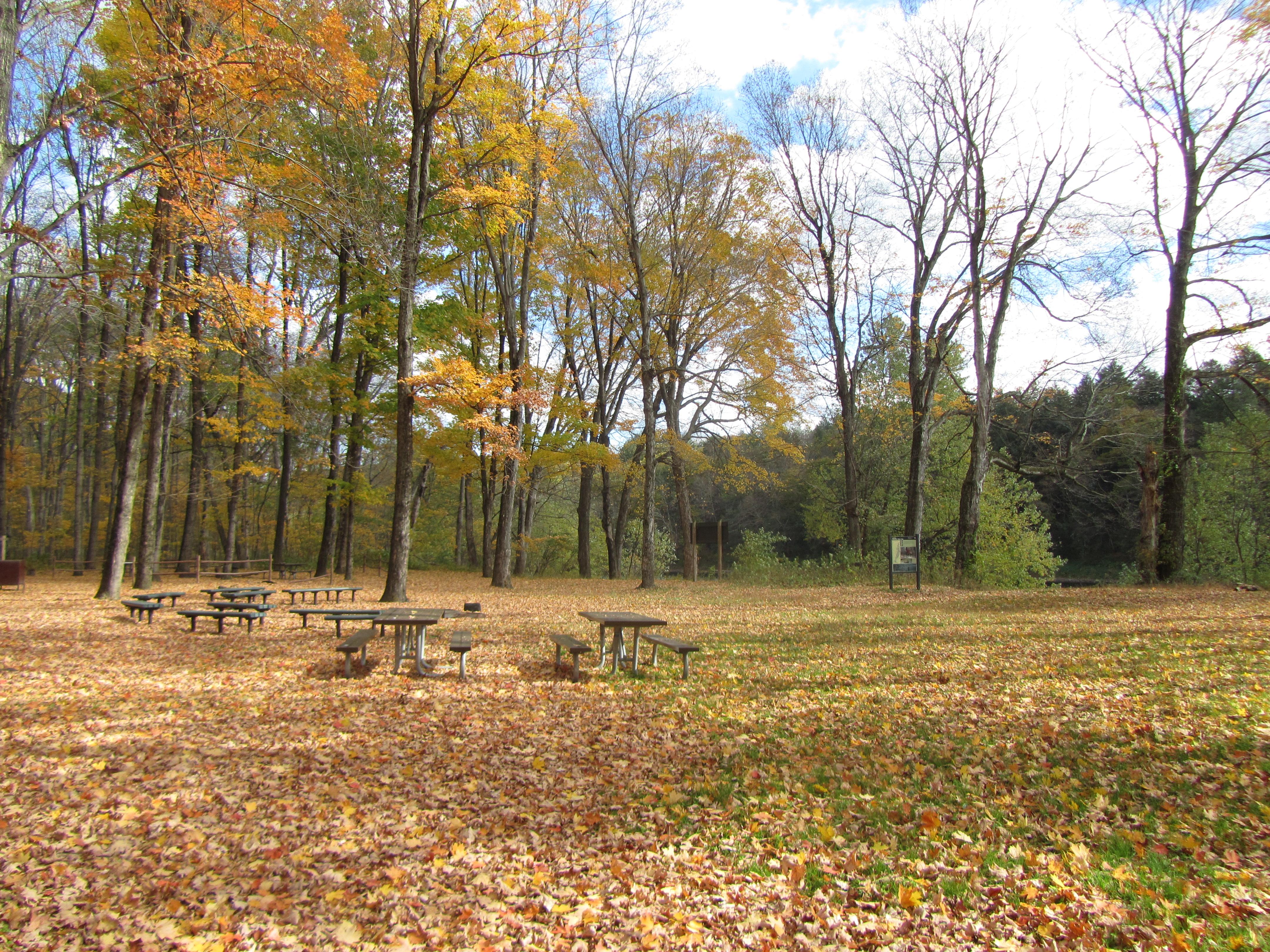 Valley View Group Campground