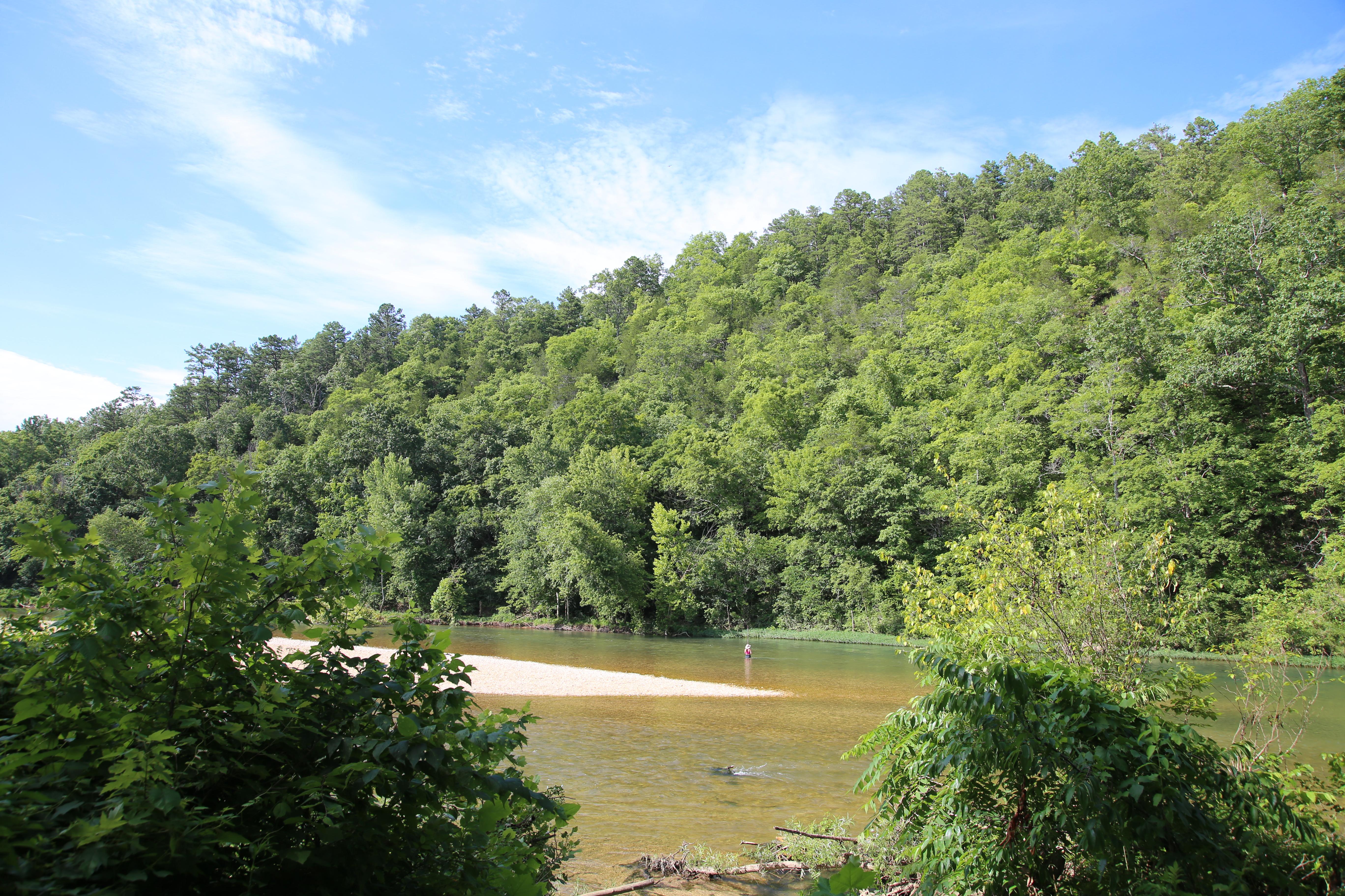 A woman fishes in a large river surrounded by lush trees.