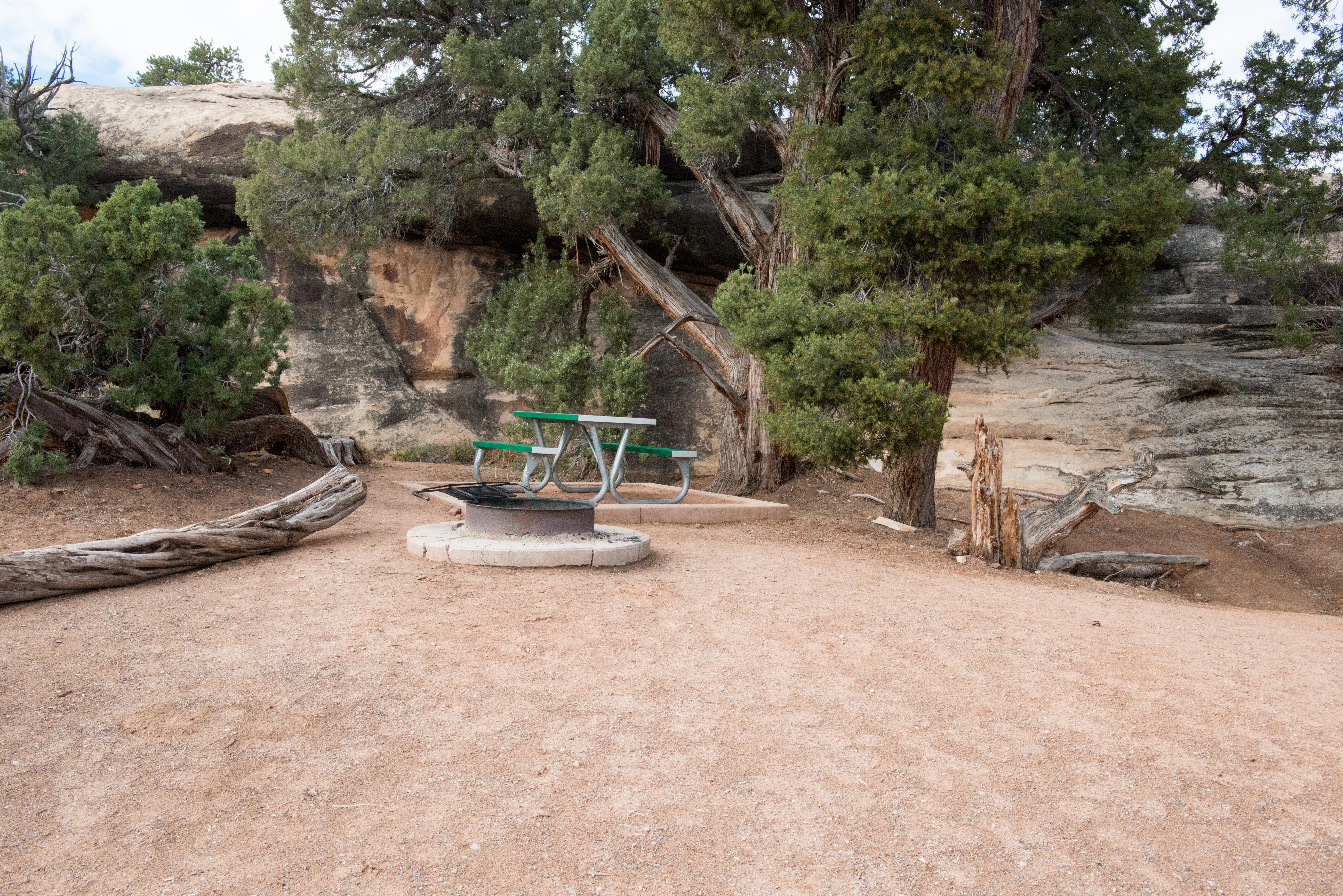 a campsite with a gravel surface, fire ring, and picnic table