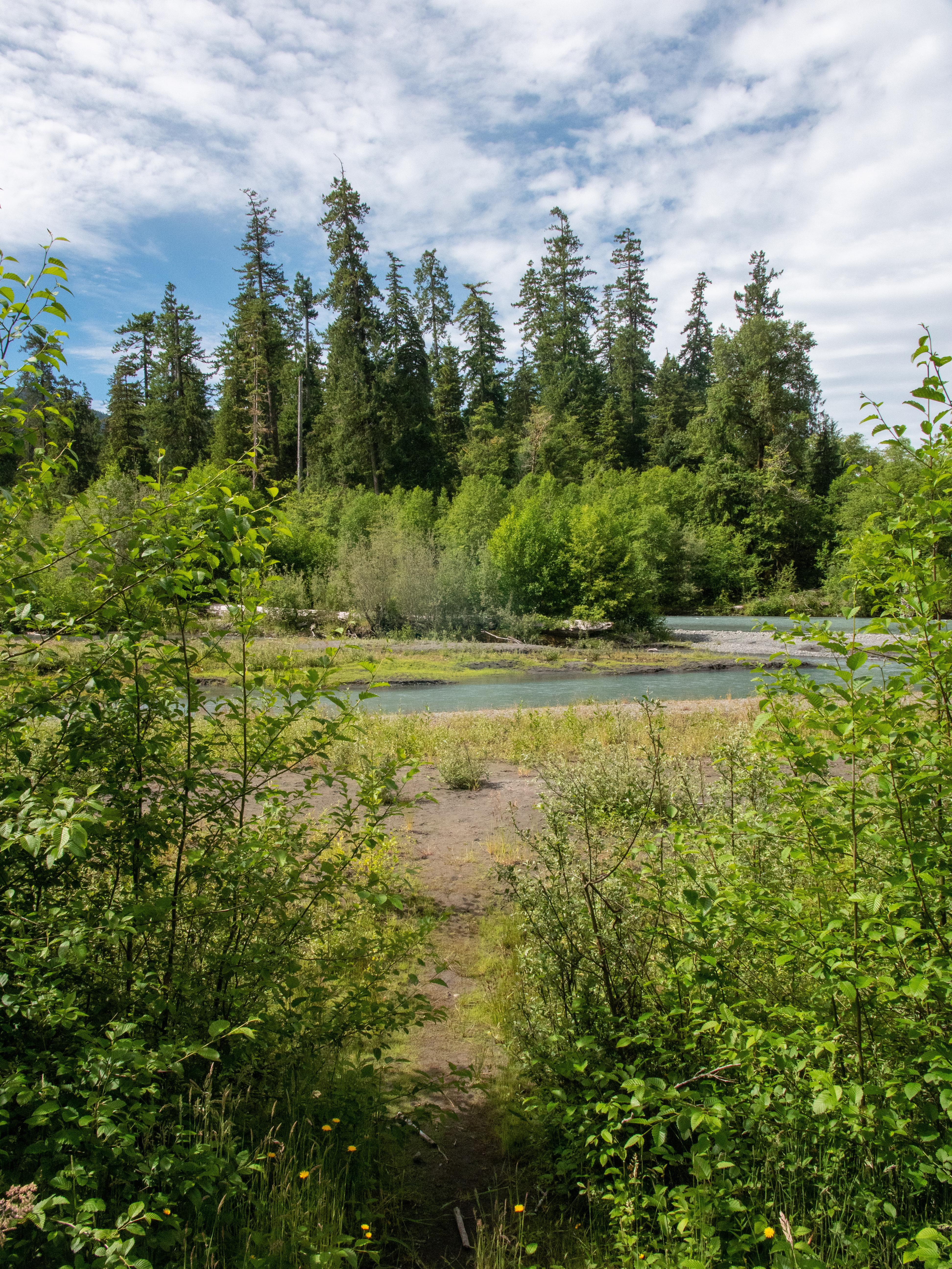 A path through grass to a blue river.