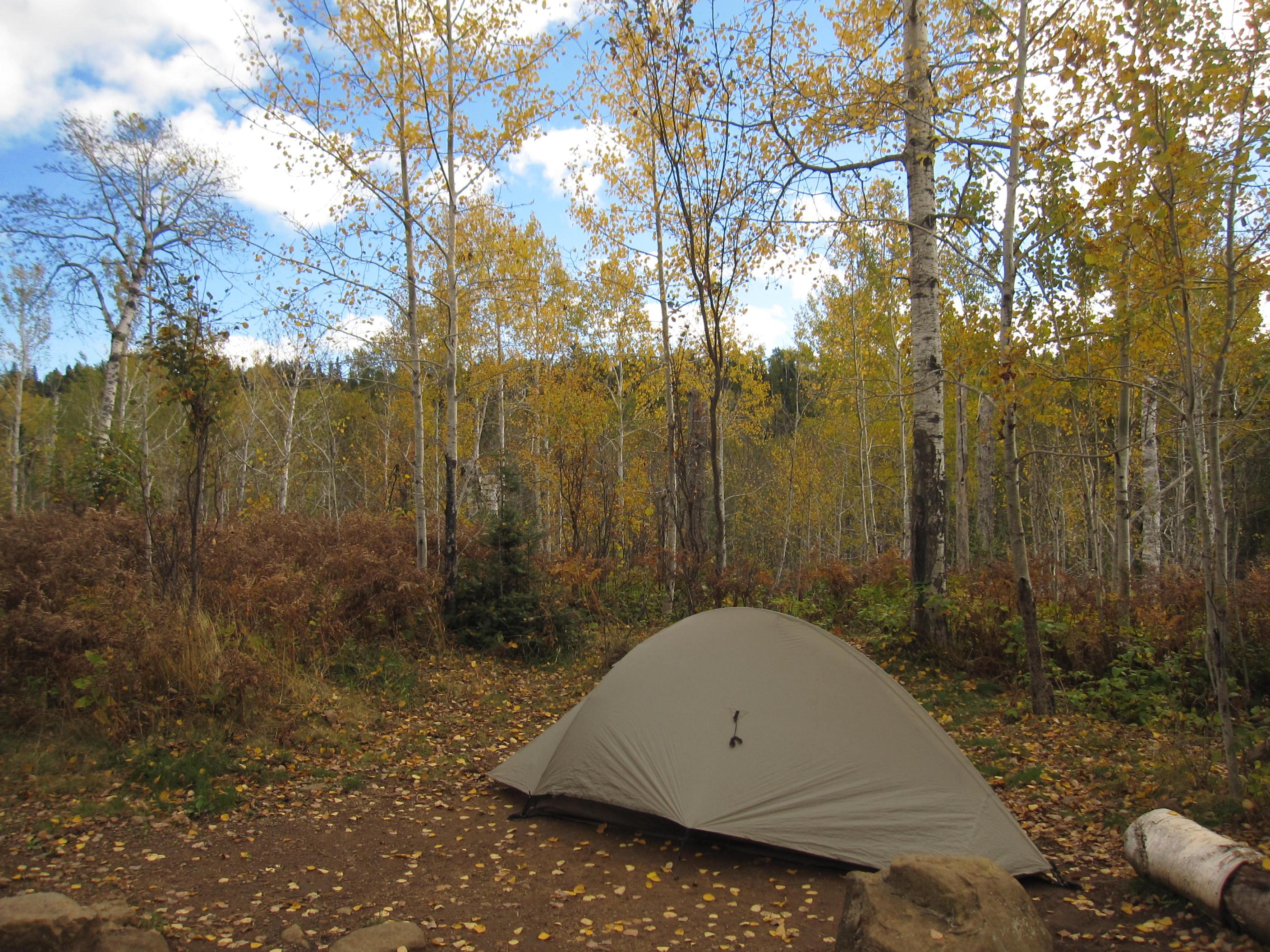 Tent in East Chickenbone Campground during fall foliage.