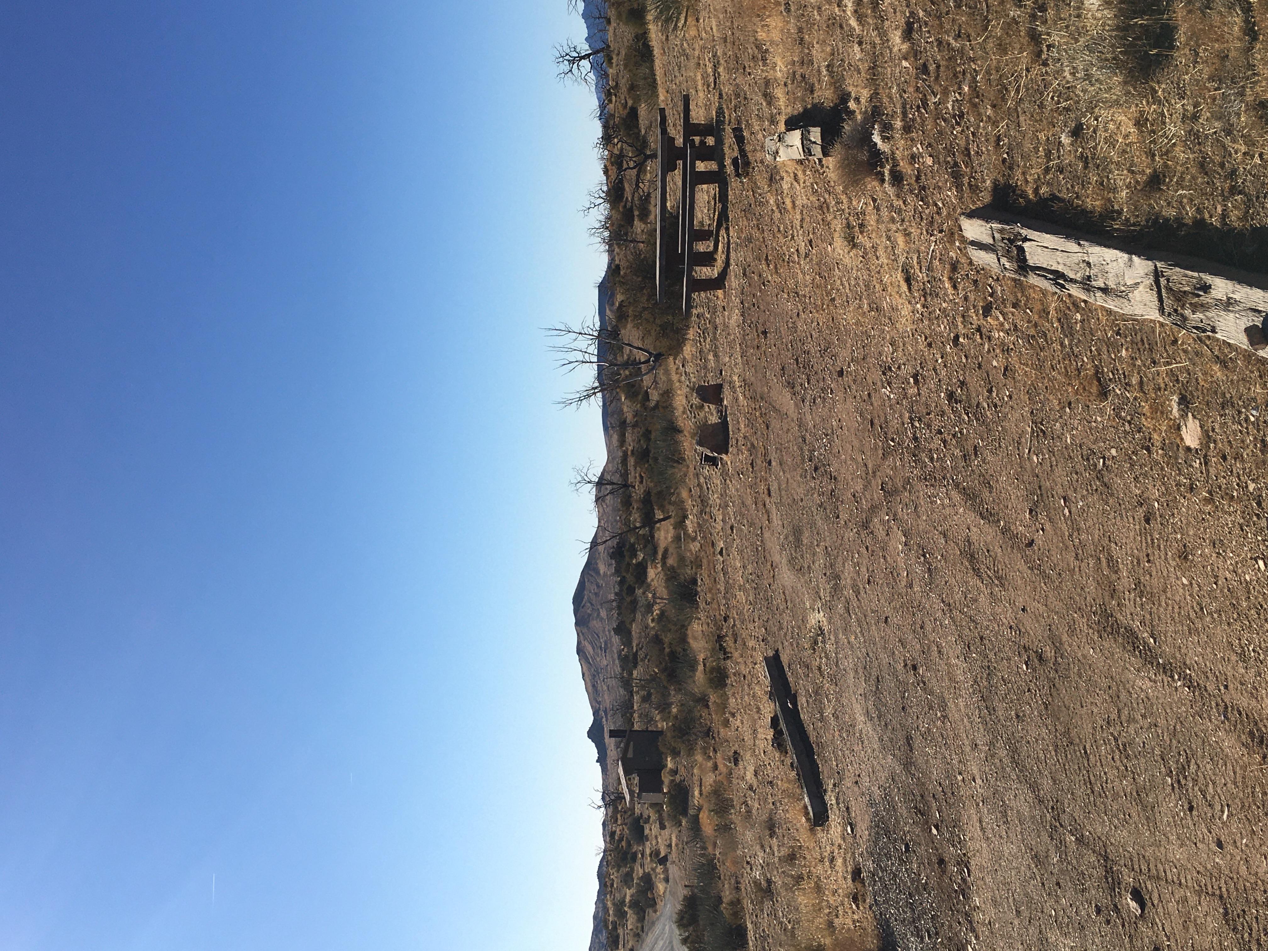 A campsite with a picnic table and fire pit. There are several tree skeletons in the background