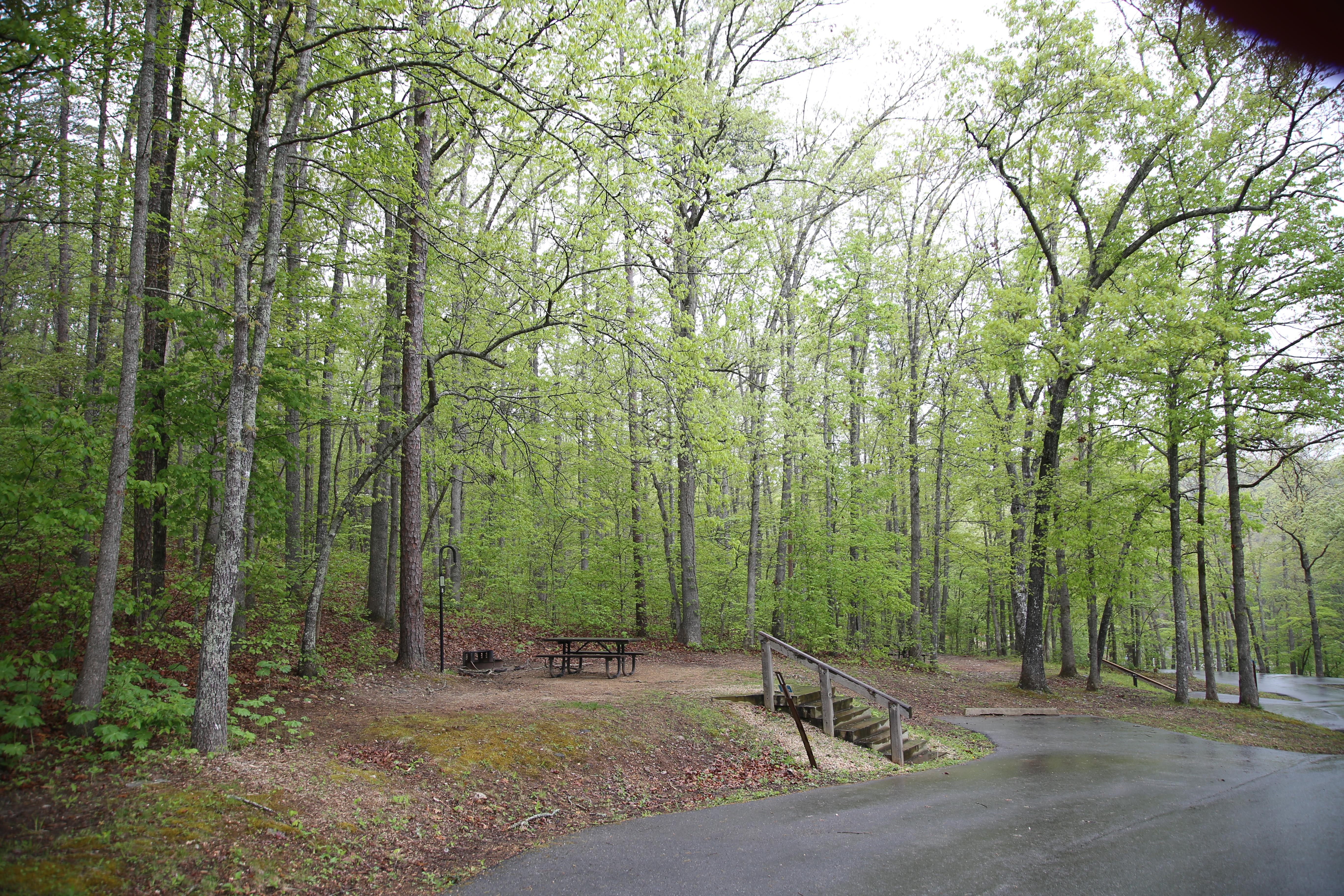 A small campsite sits at the top of wooden stairs. It is flat and gravelly, surrounded by oak trees.