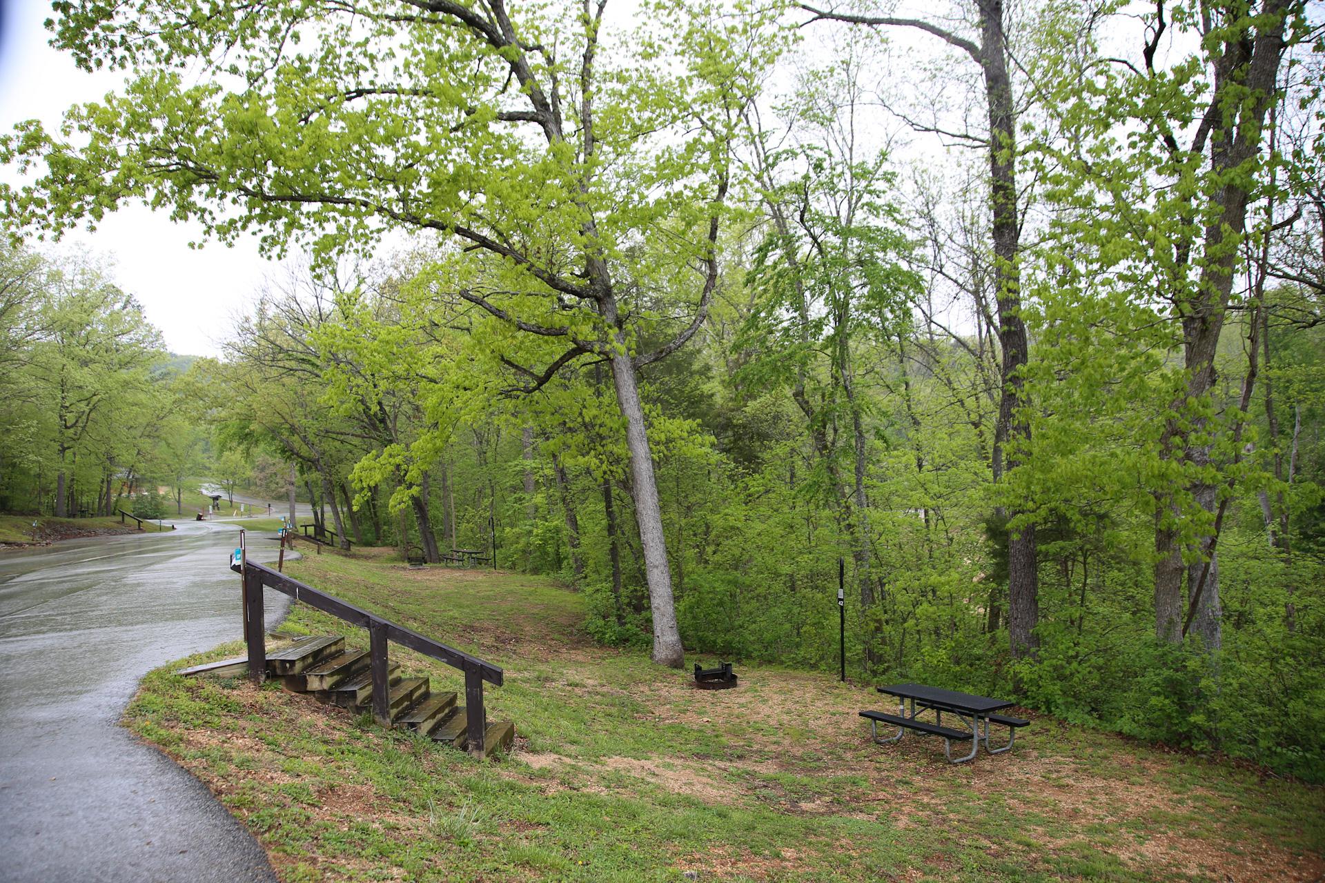 A grassy campsite sits at the bottom of wooden stairs. Tall trees hang overhead.
