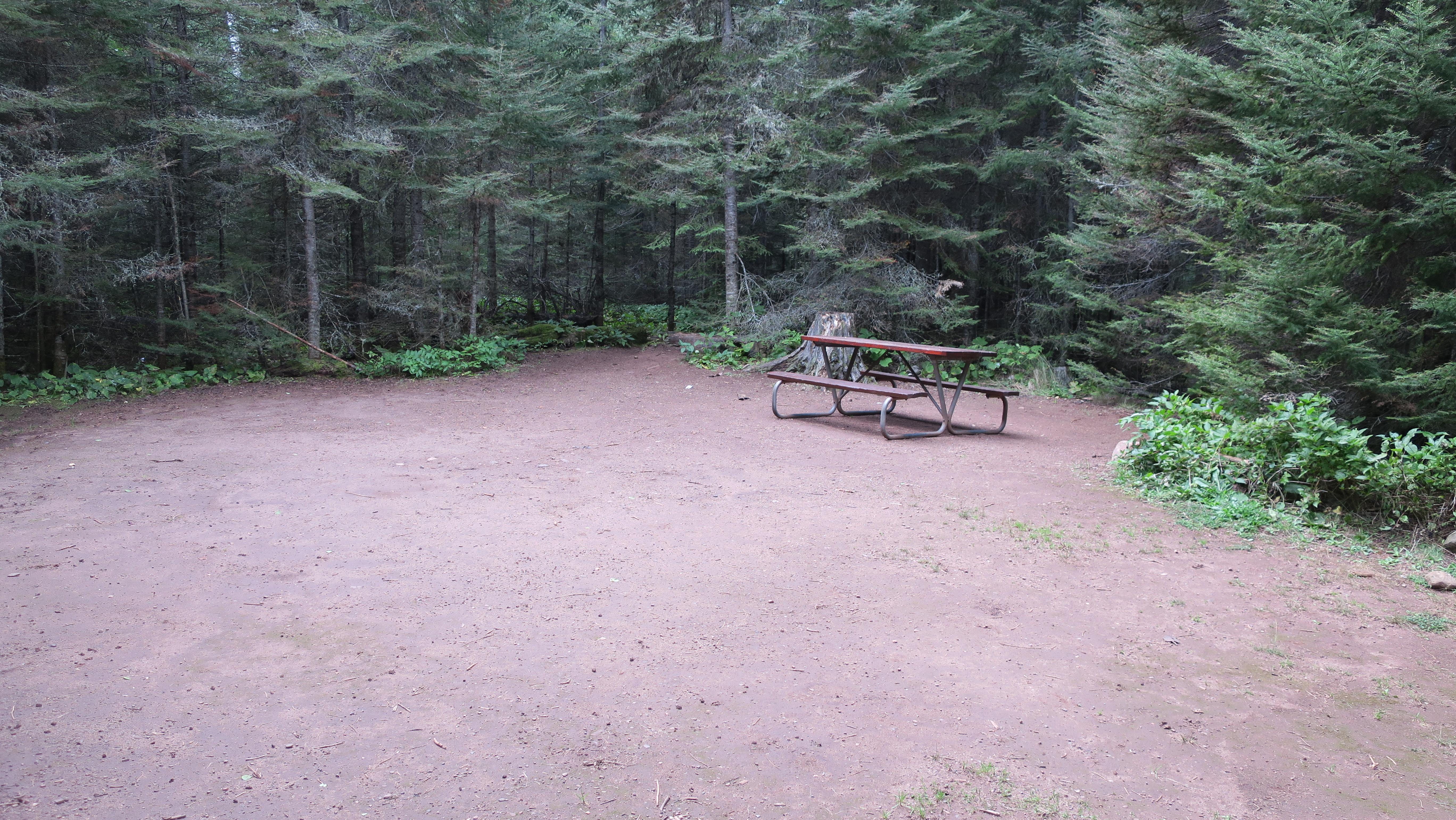 Large dirt clearing surrounded by trees with a picnic table.