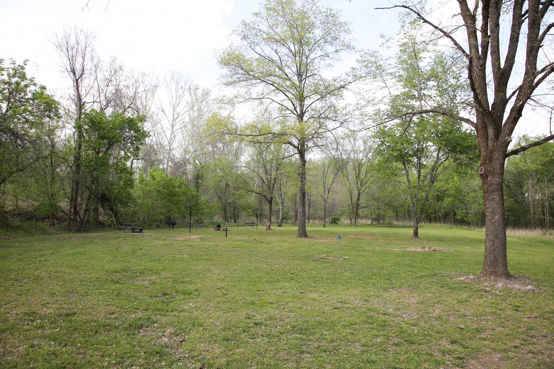 A grassy field with scattered trees.
