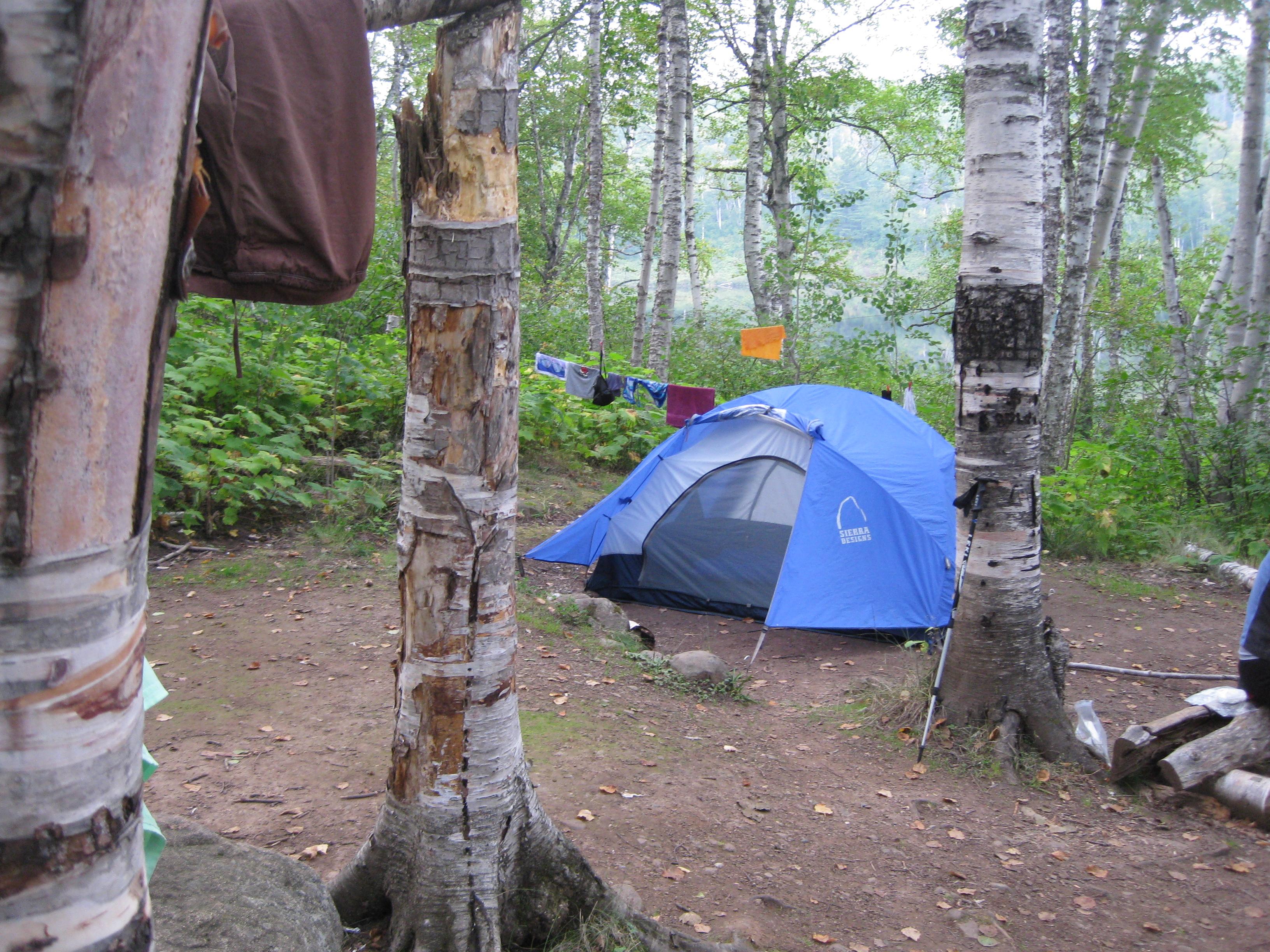 Blue tent at campsite amongst trees with lake visible in distance.