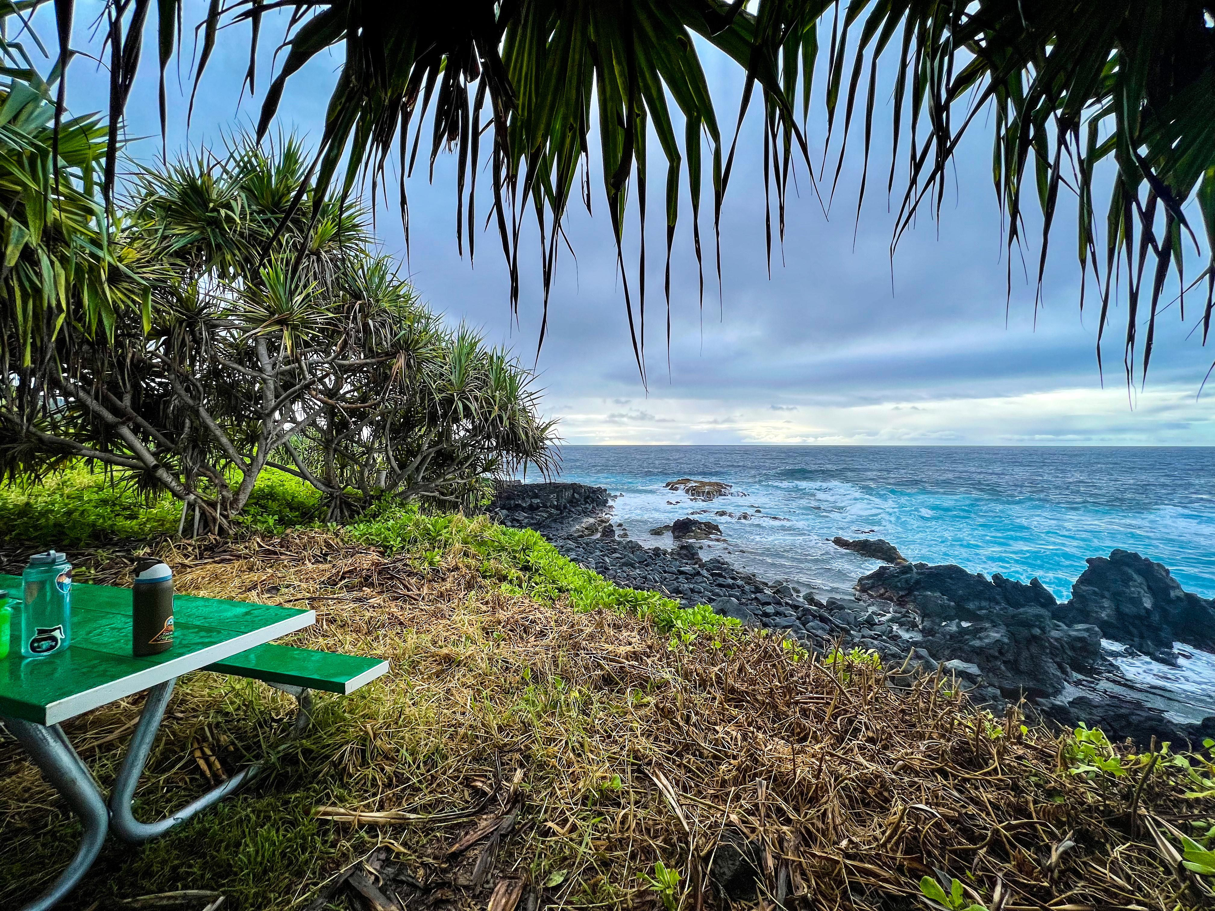 A green picnic table sits in a grassy campsite with the rocky ocean shoreline in the background.