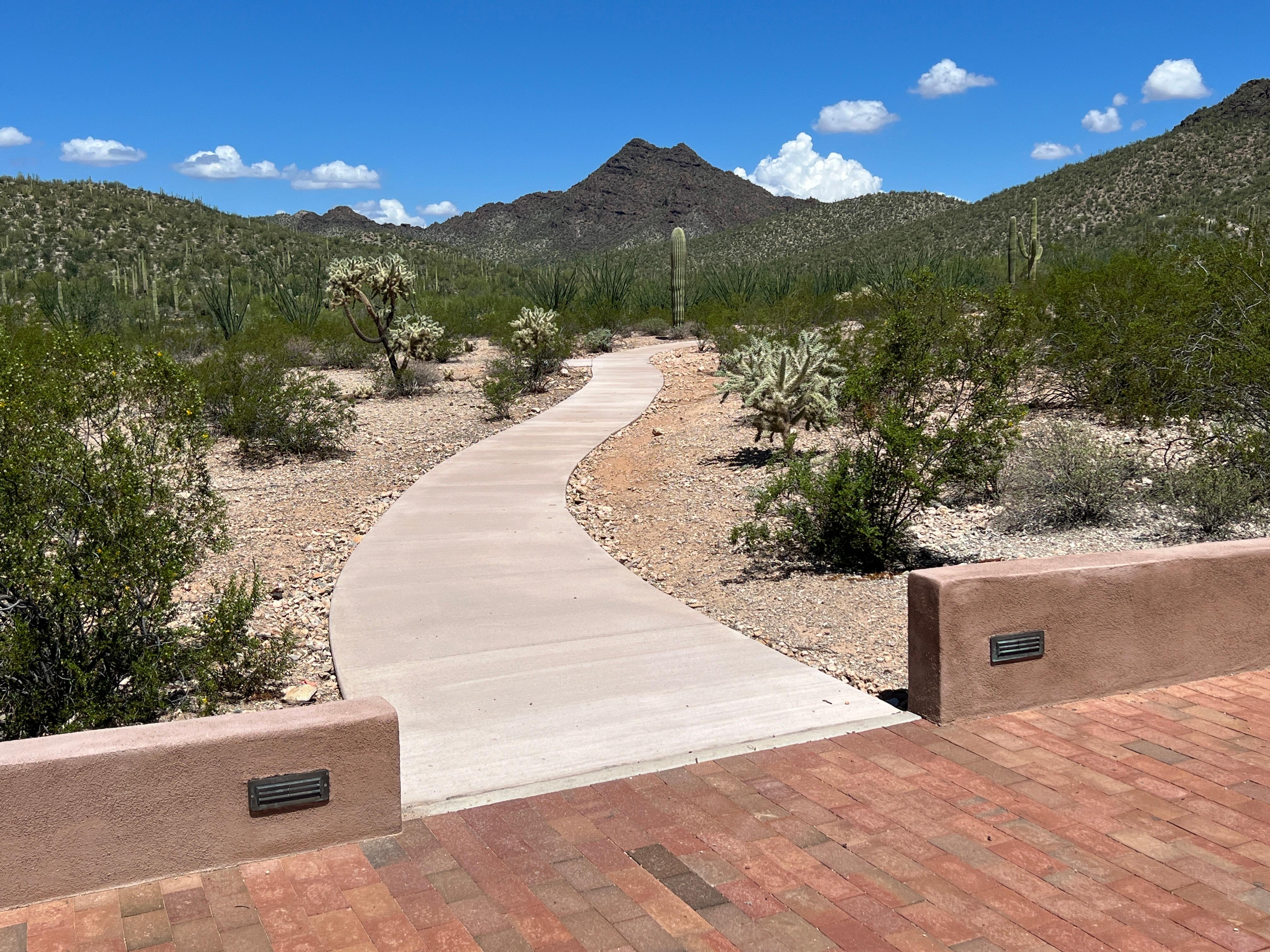 A paved trail meanders through desert plants towards a large mountain with two peaks.