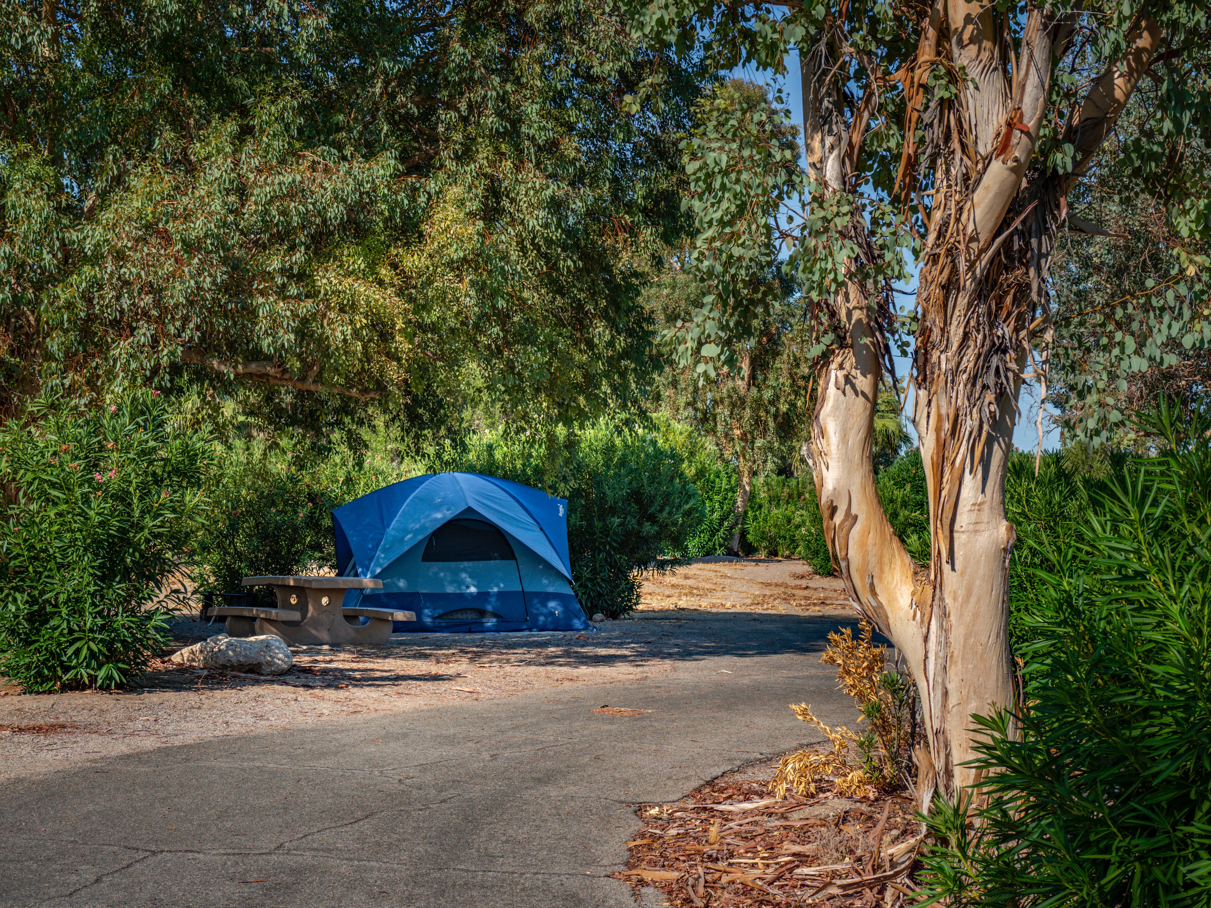 Temple Bar Campground