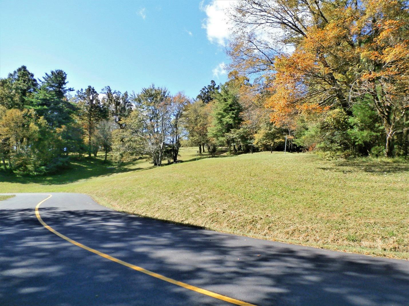 A road curves to the right, lined with grass and trees