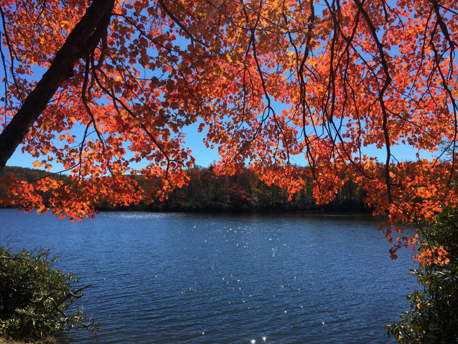 Sparkling blue waters of a lake framed by red fall foliage