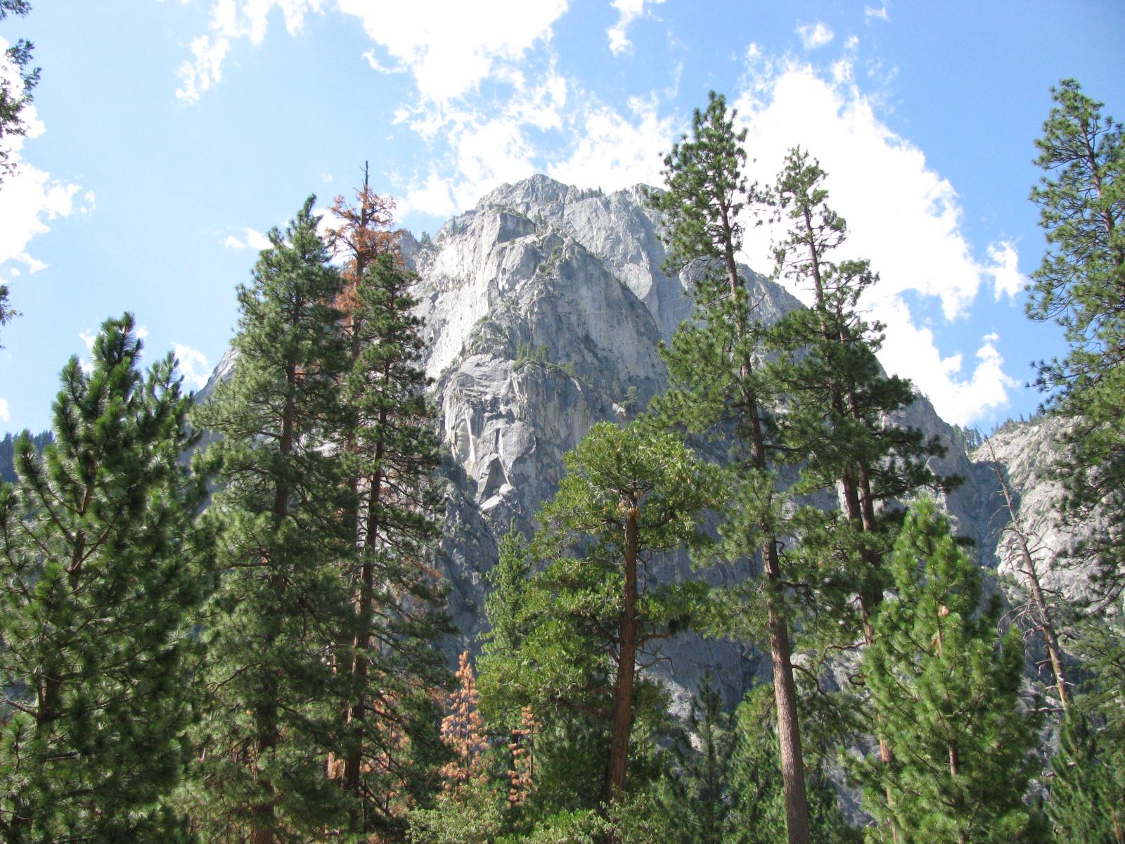 Views through pines of granite cliffs and blue skies