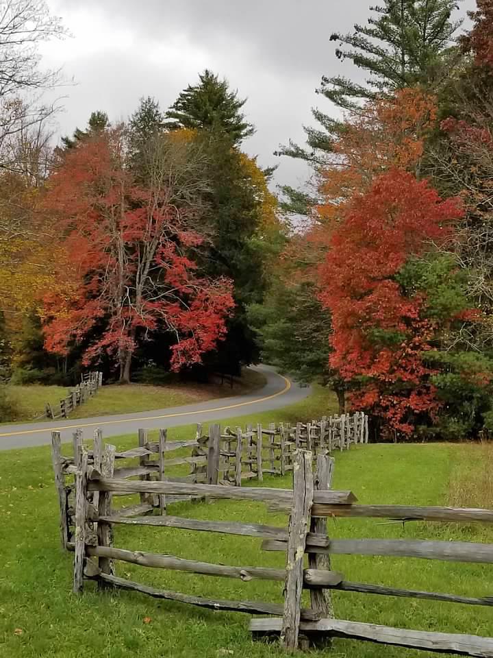 Trees with red fall colors and a wooden fence line a road