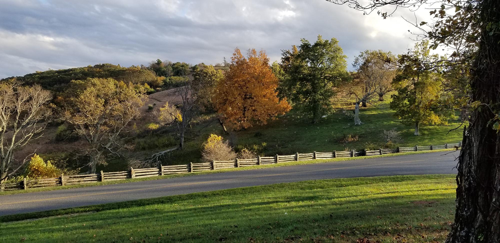 A hillside covered with a mix of trees and fields
