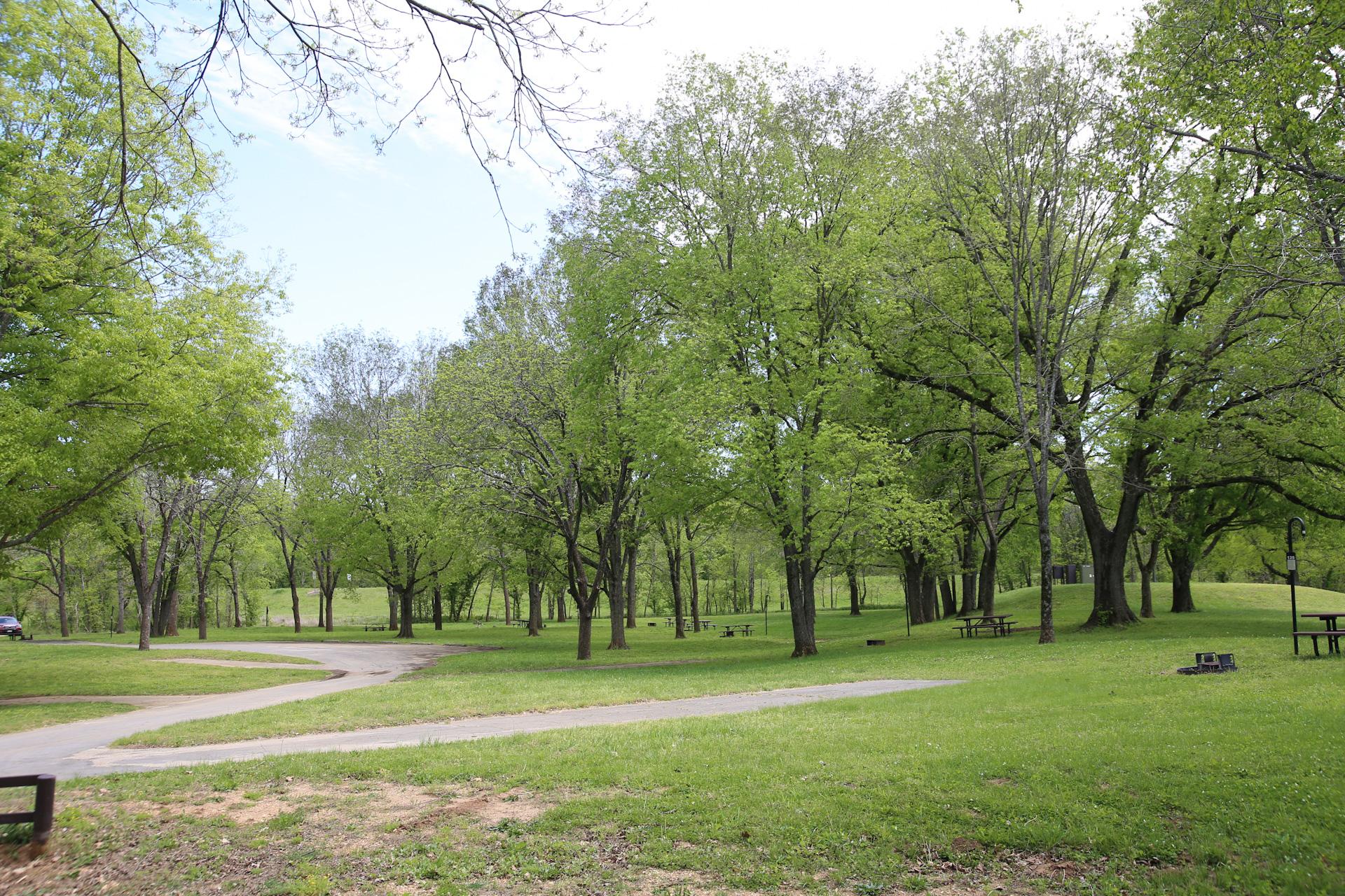 Empty campgrounds sit under the shade of trees.
