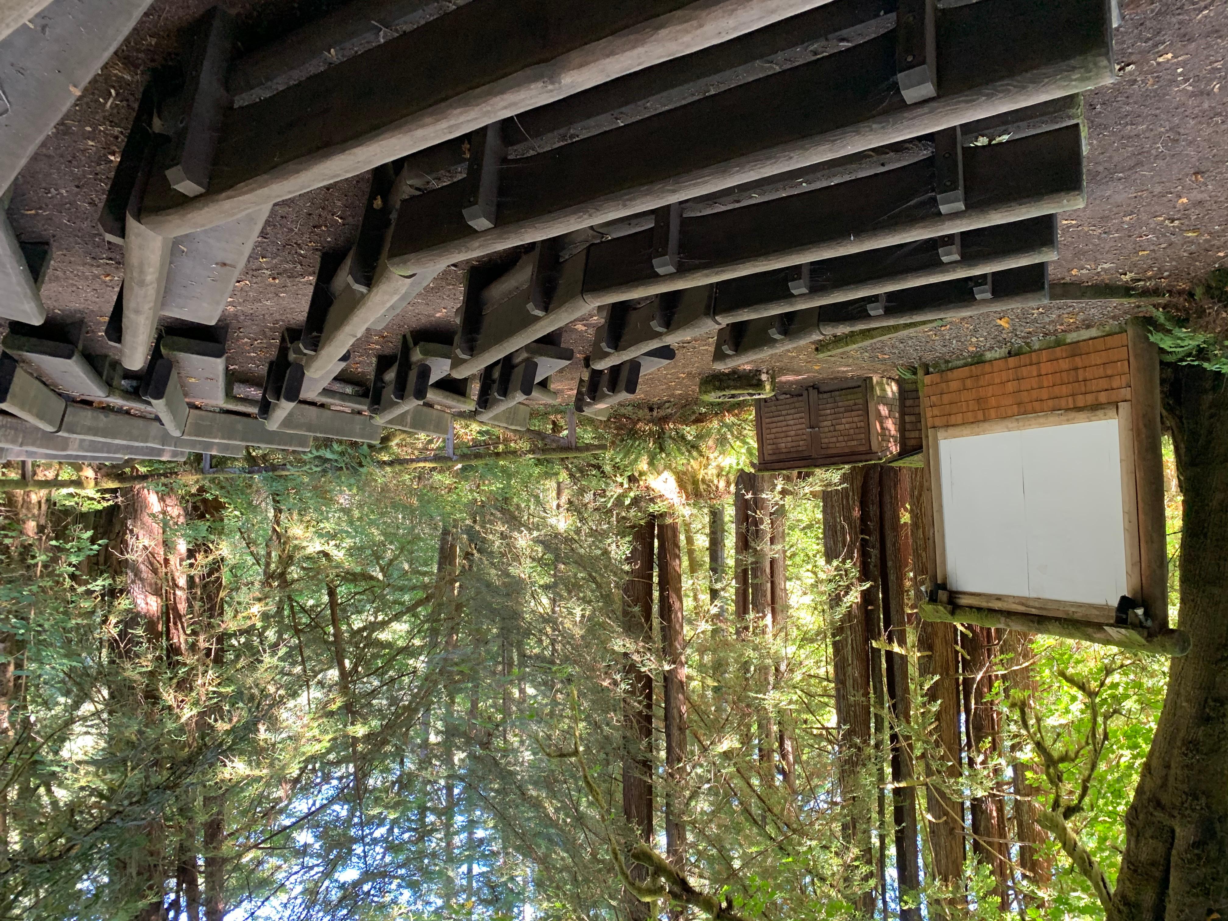 Wooden benches in front of a an outdoor screen
