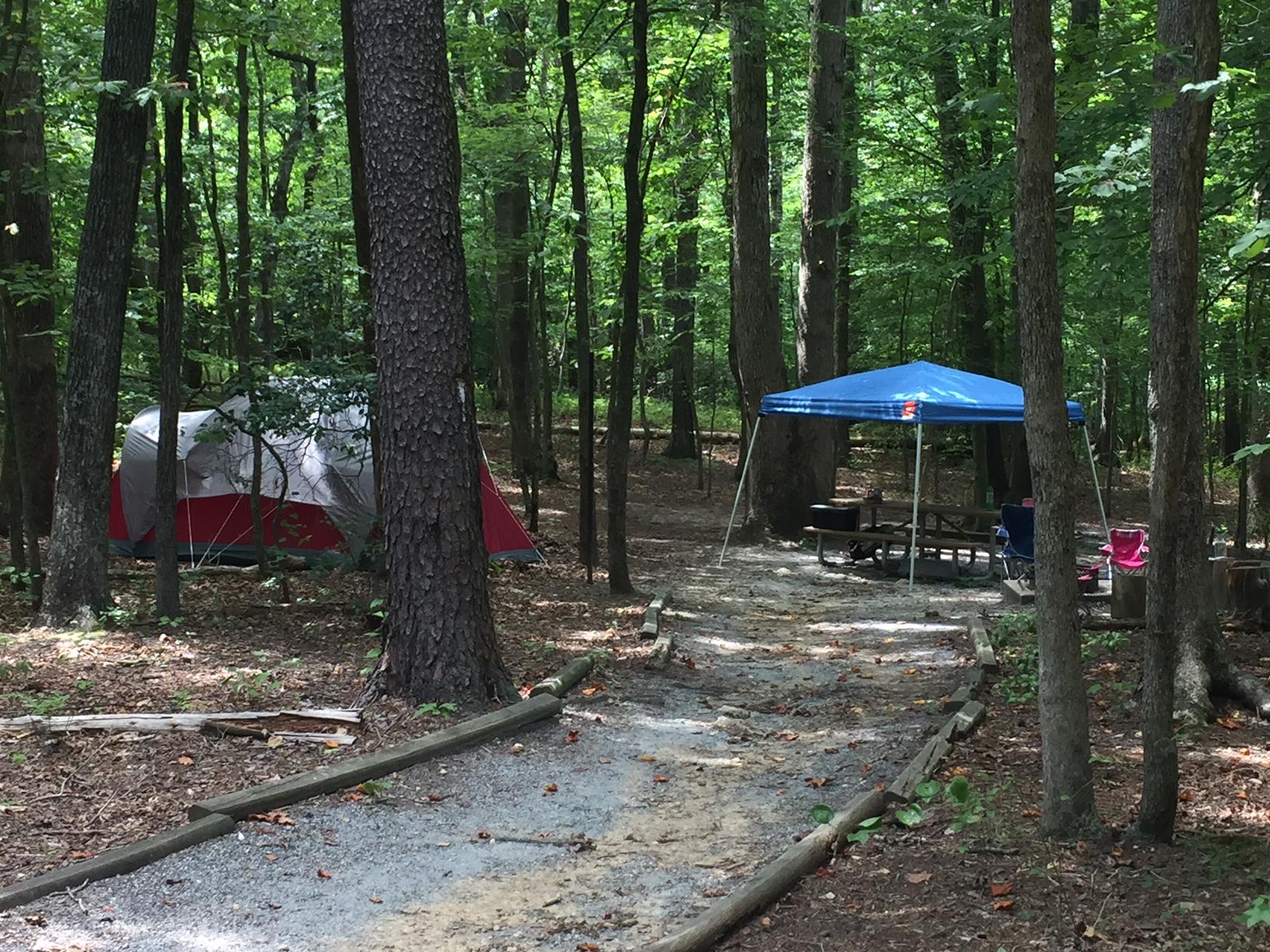 Large red and silver tent and blue pop-up pavilion over a picnic table in a campsite in the forest