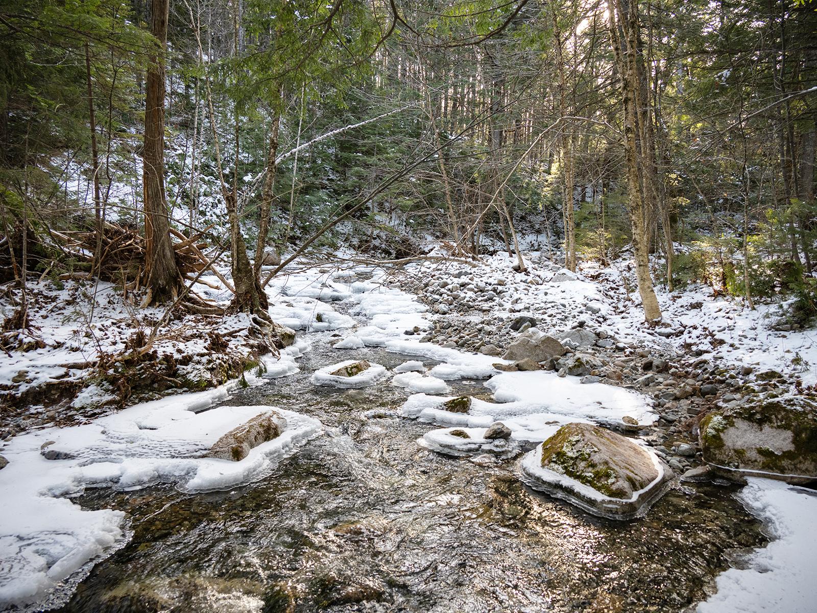 Snow and ice forming in a brook meandering in the woods.