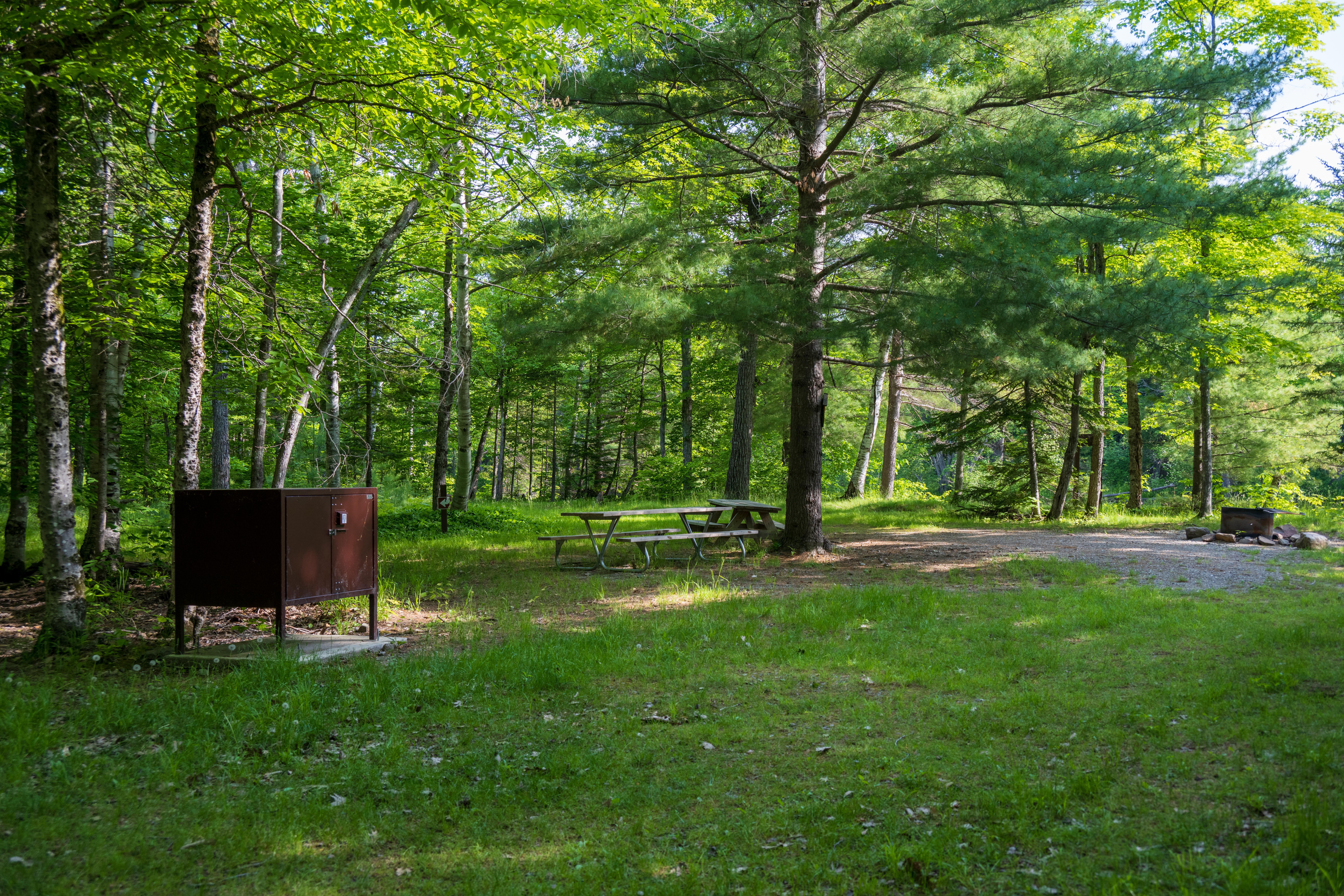 Upper East Branch Campsite