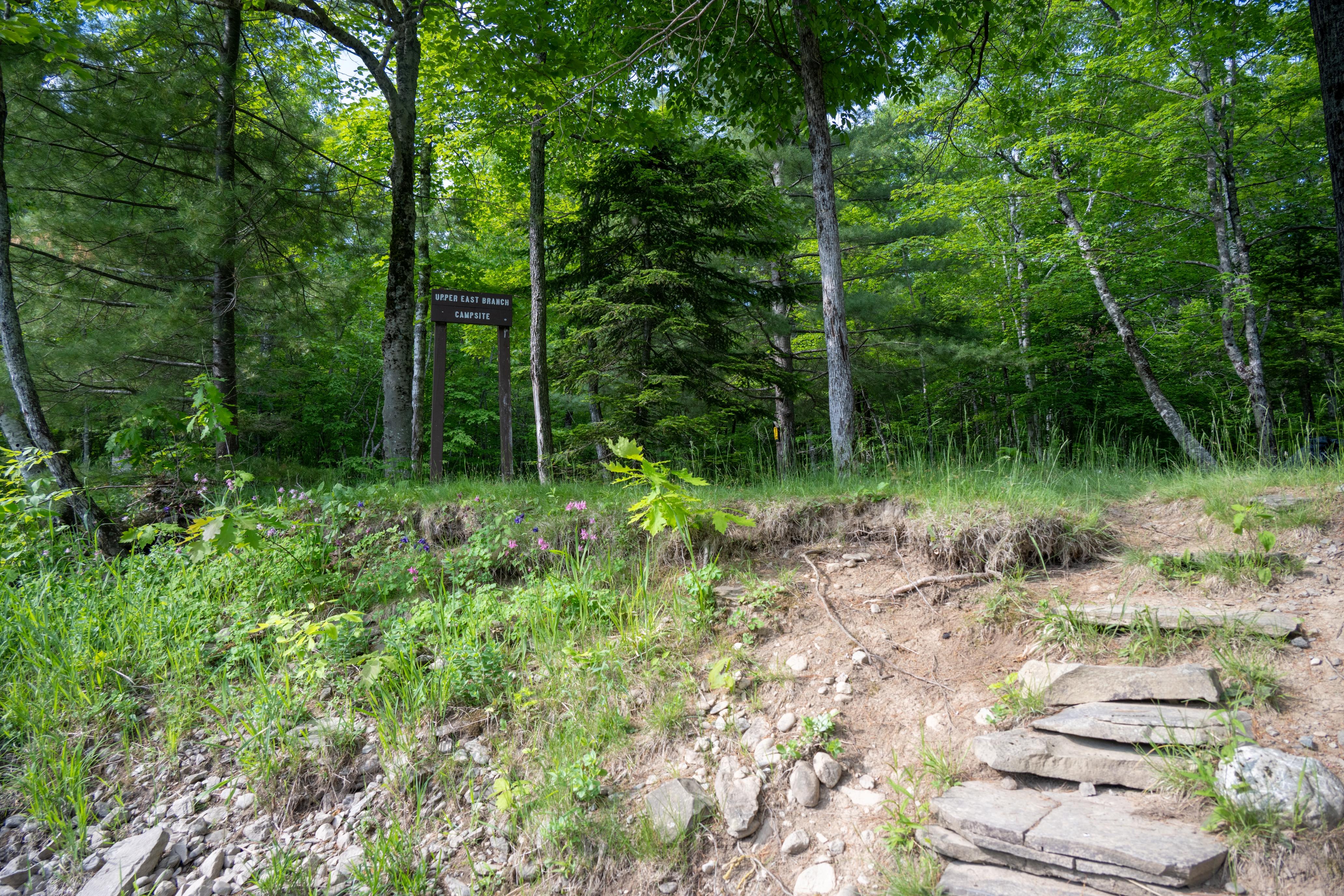 A small set of stone stairs provides access to the river from the campsite.