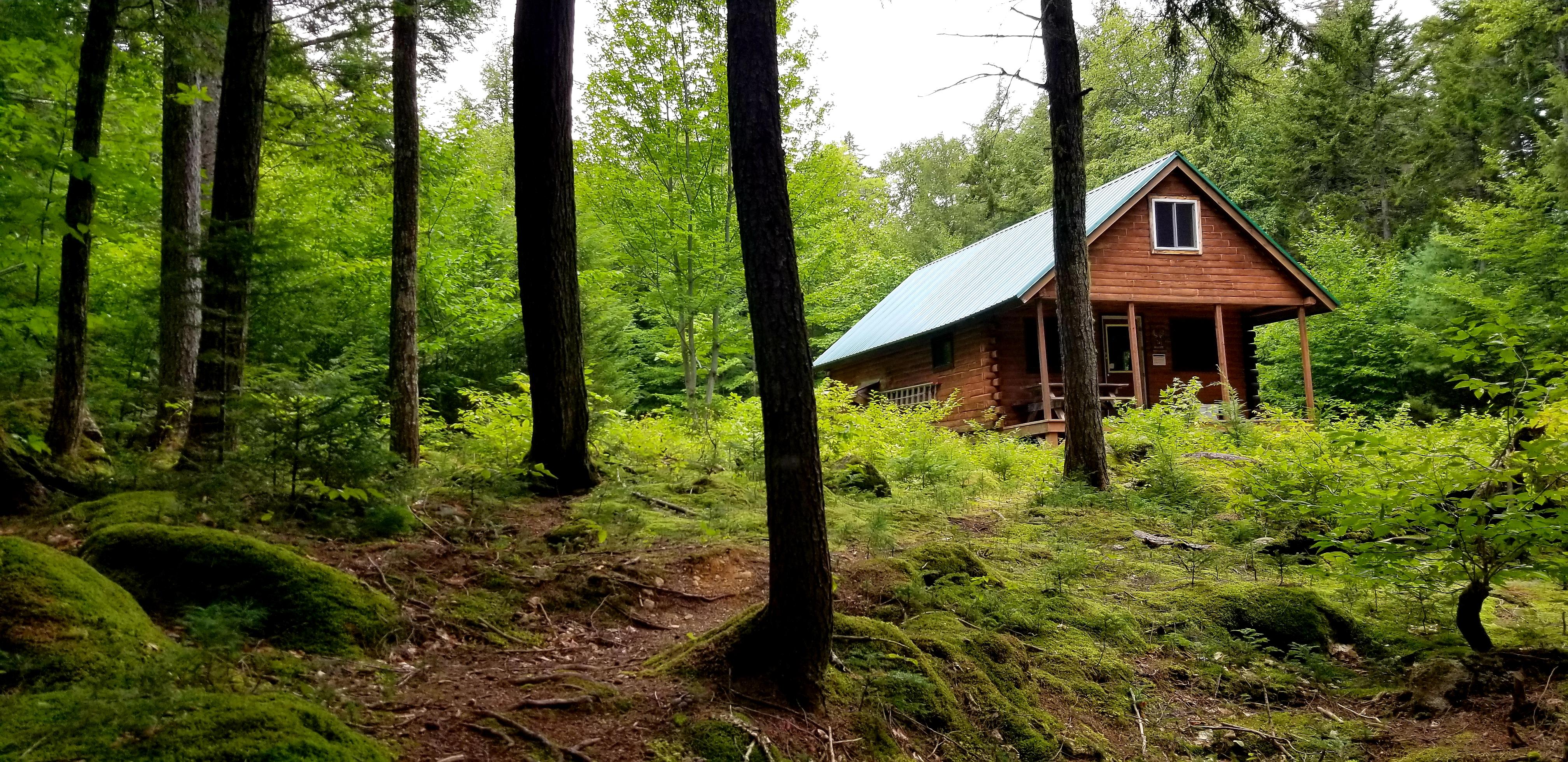 Tree trunks and woods in the foreground with a log cabin in the background.