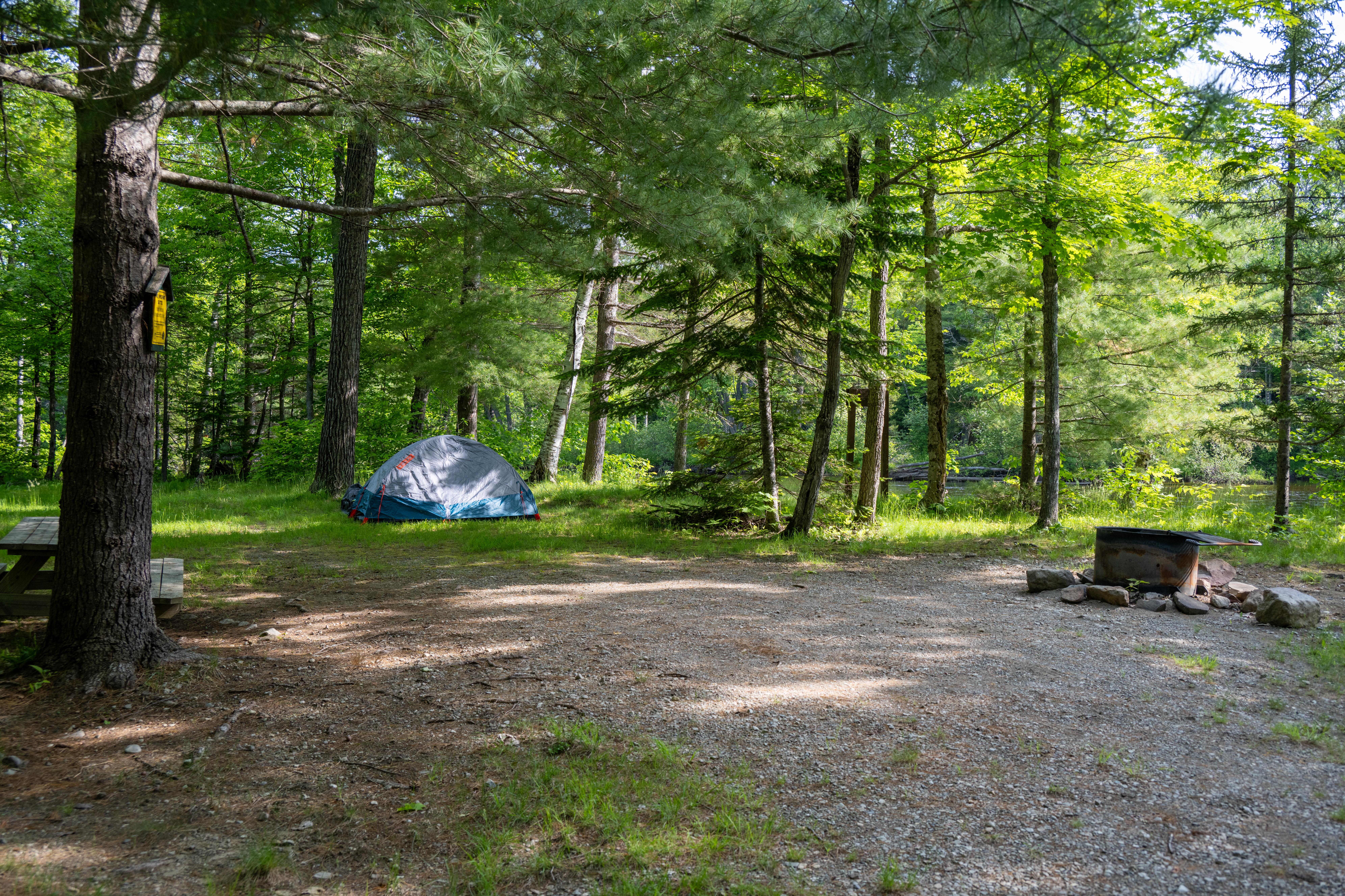 A large shaded campsite with tall trees, a picnic table, and a metal fire ring.