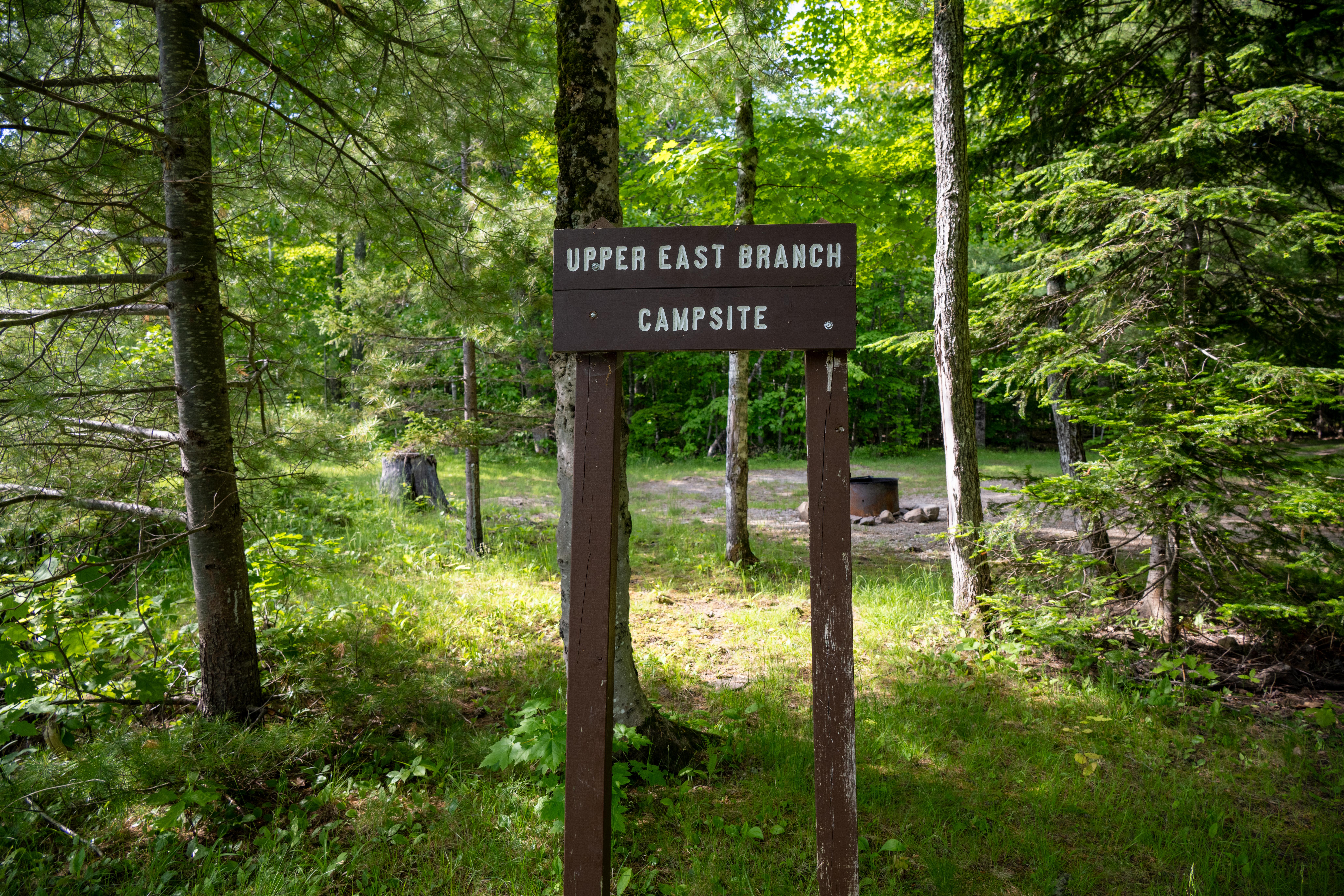 A tall brown wooden sign with Upper East Branch Campsite written on it faces the river.