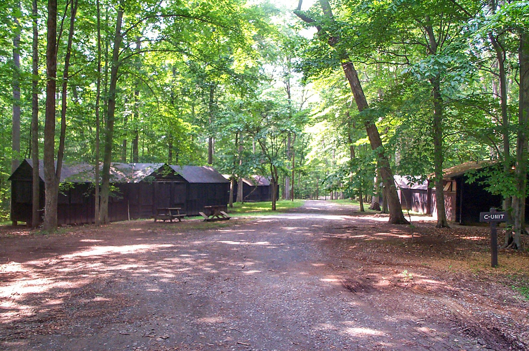 Large brown wooden cabins are dispersed through the woods. A gravel road is between them