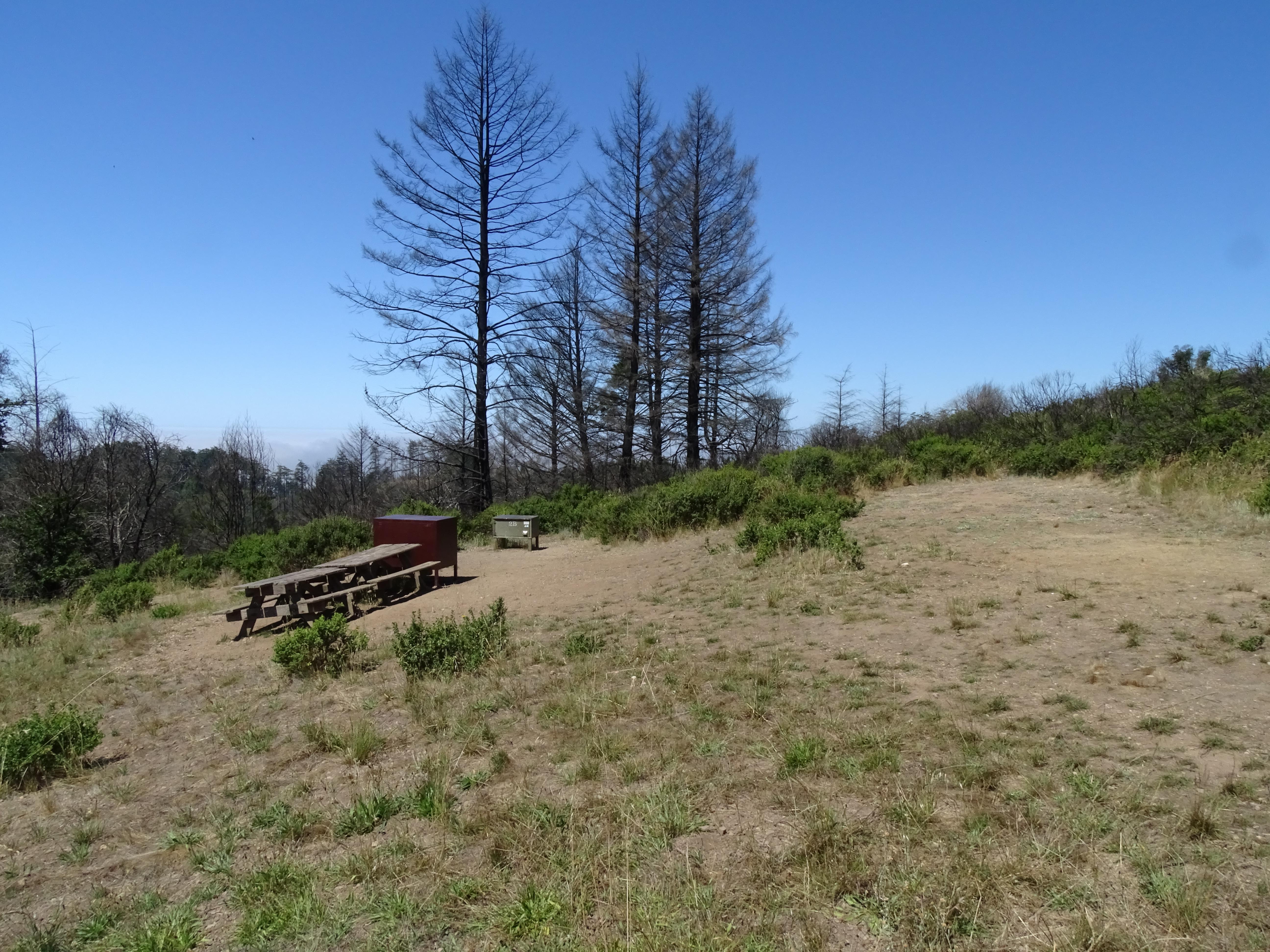 A campsite containing two picnic tables and two food storage lockers overlooking the ocean.
