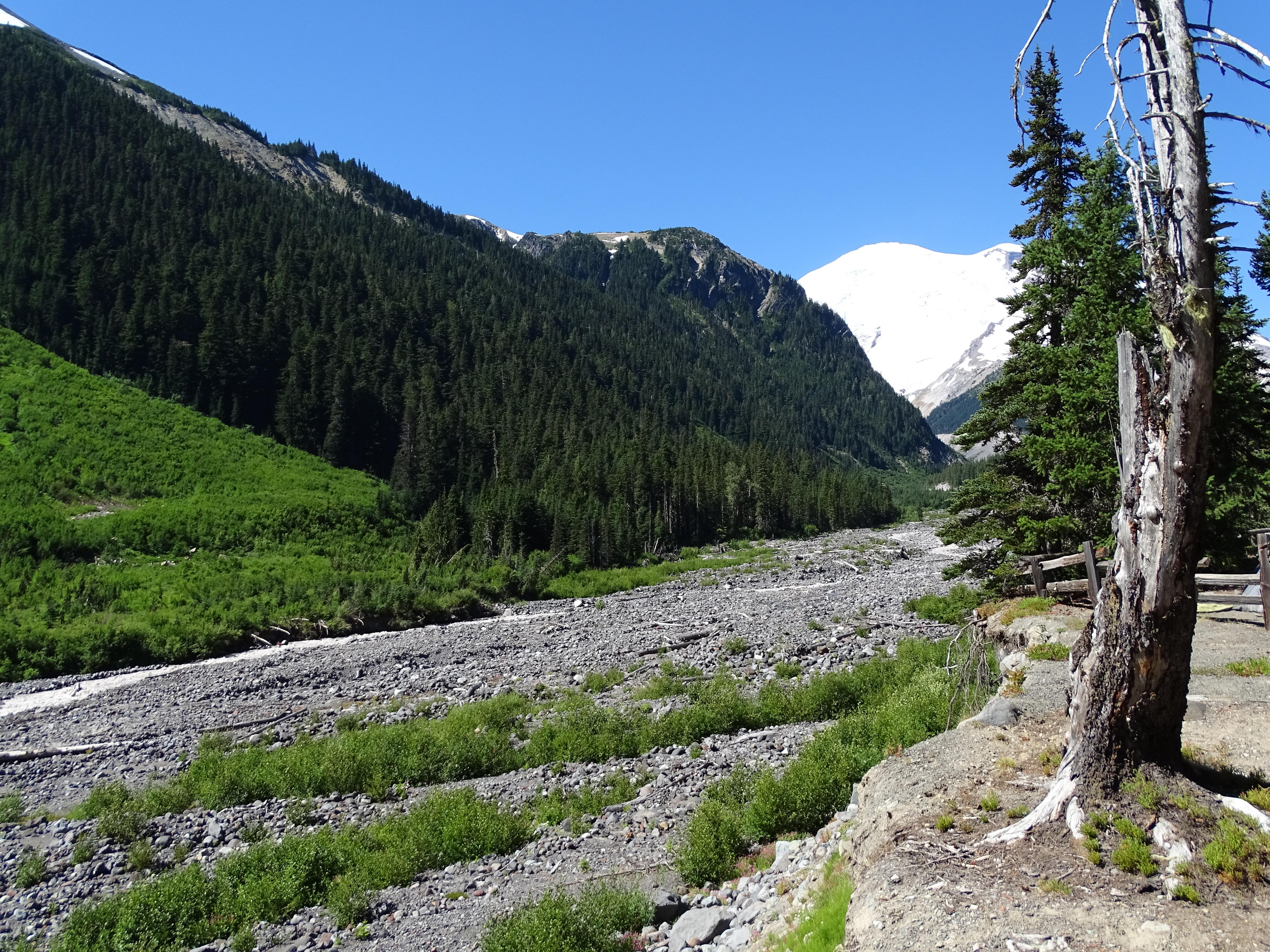 A rocky river basin with forested valley walls that leads up to Mount Rainier.
