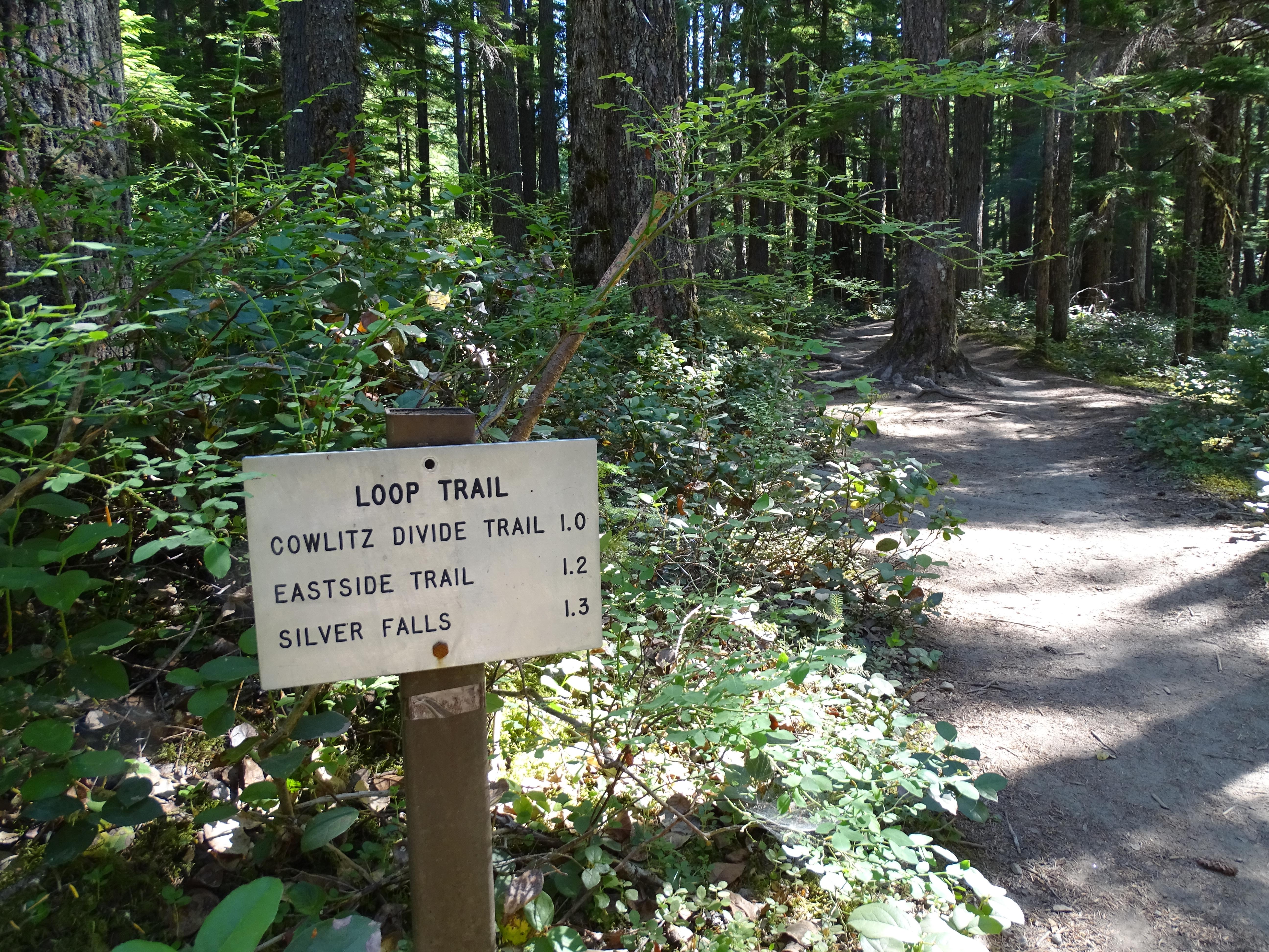 A silver sign detailing the local trails.