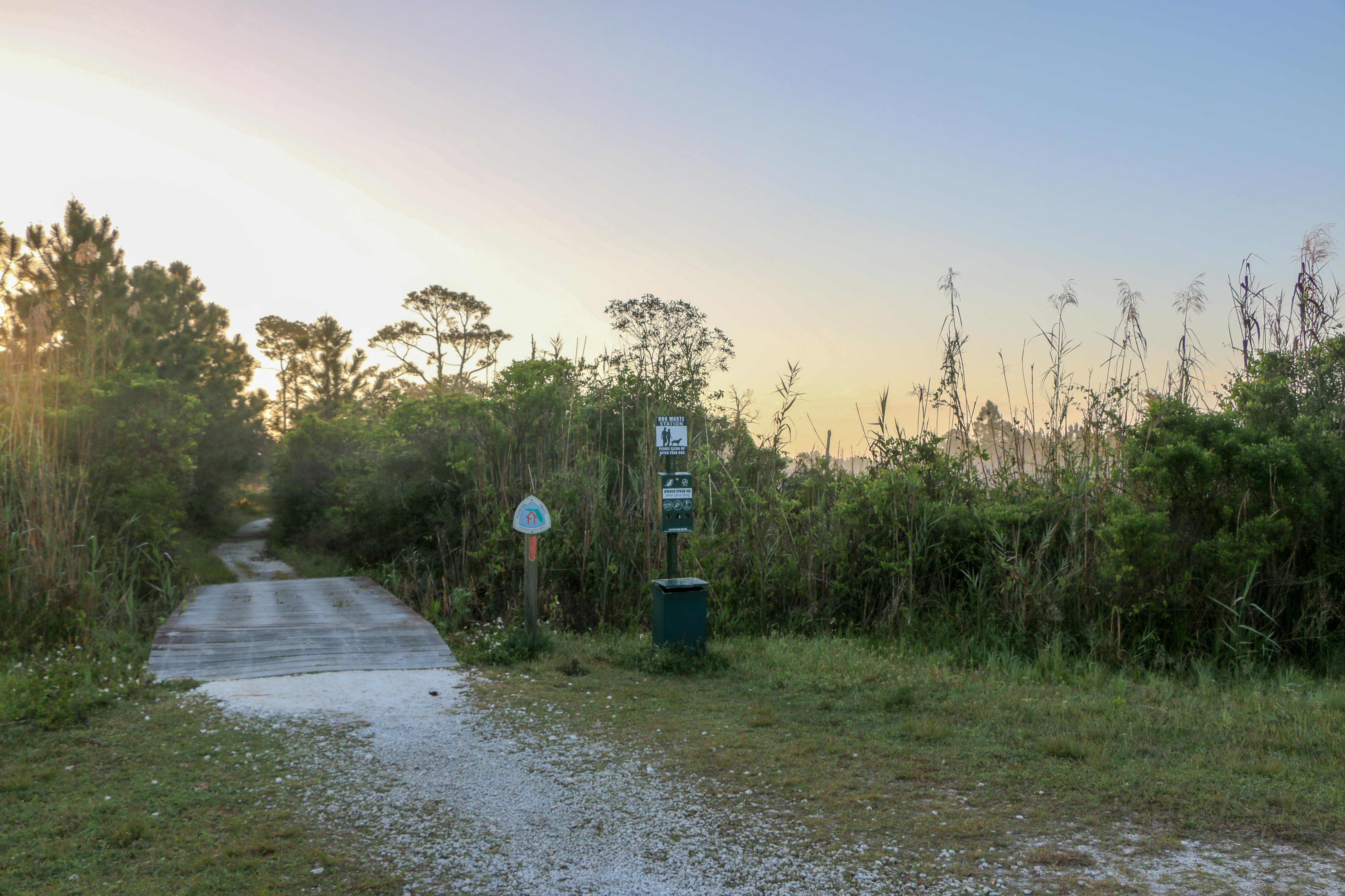 A trail bridge leads to a gravel trail leading into the distance between trees.