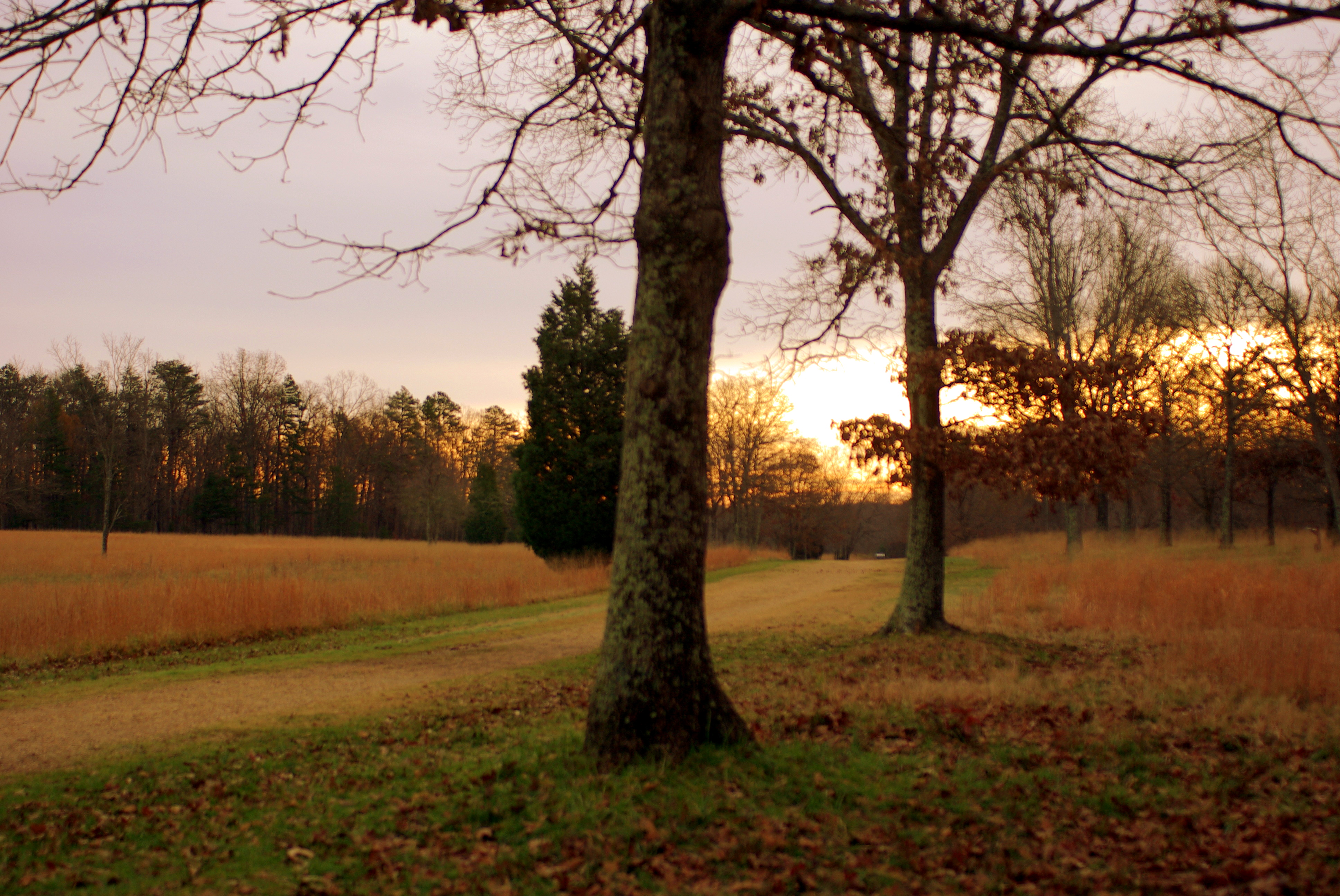 Cowpens National Battlefield