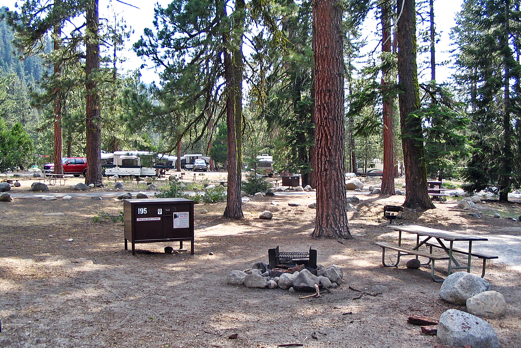 A campsite with a picnic table, fire ring, and food-storage box