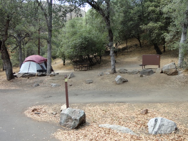 A tent set up beneath oak trees