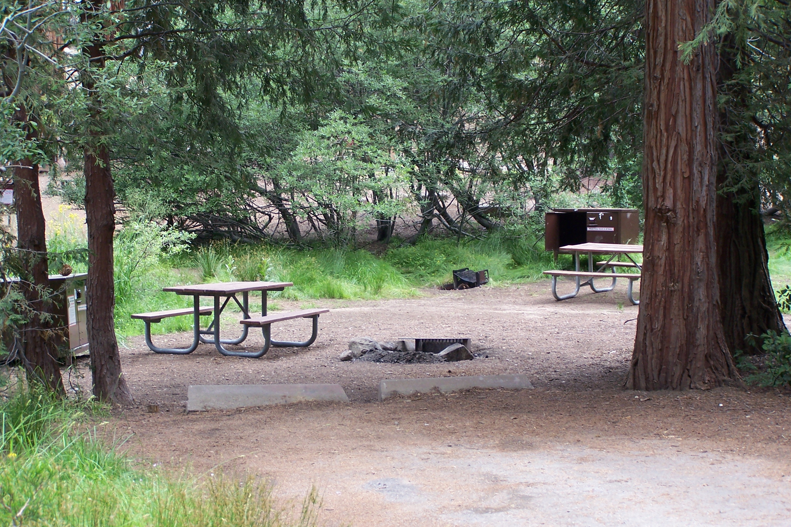 Two campsites beneath incense cedars