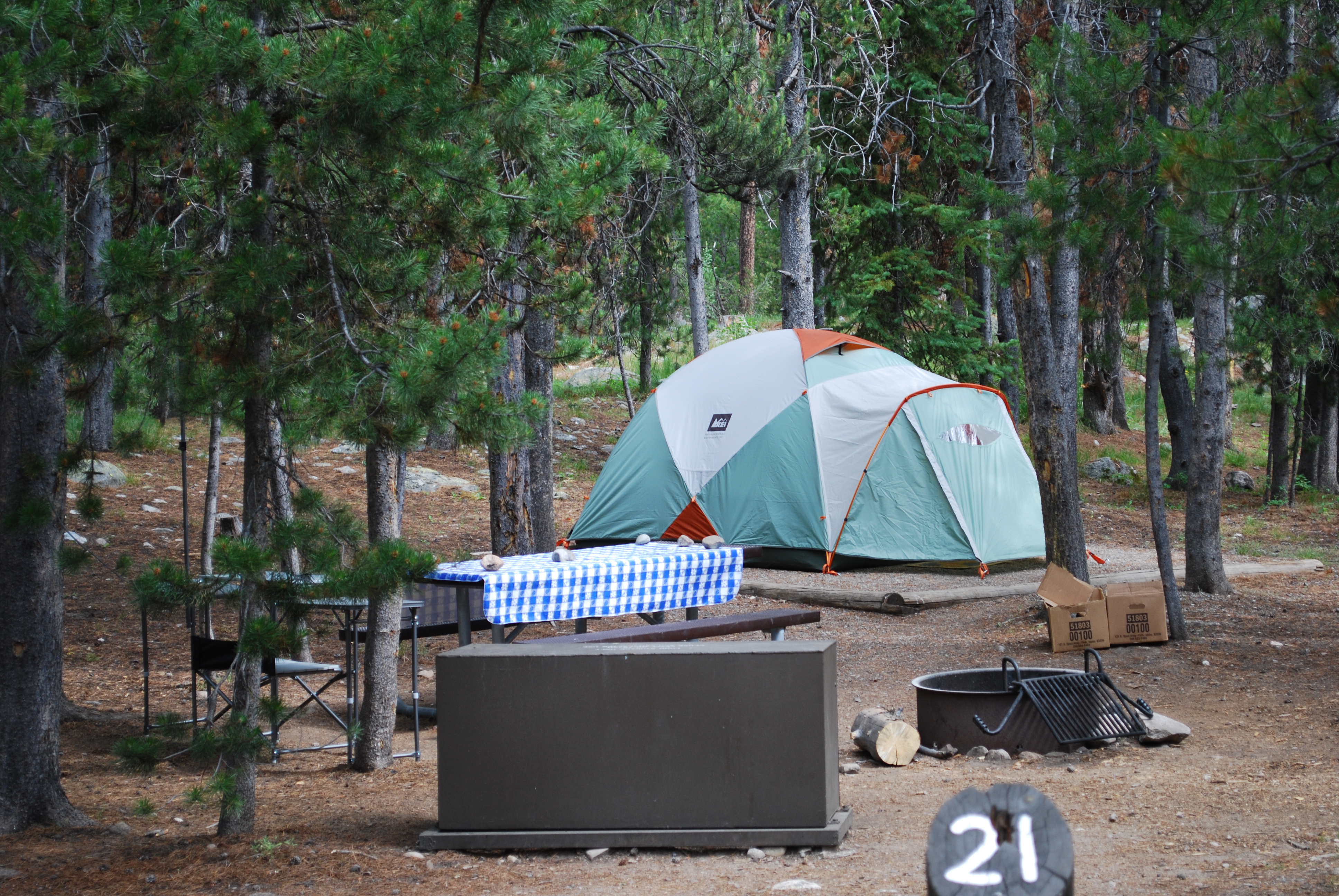 Jenny Lake campsite with gray and green tent surrounded by lodgepole pines