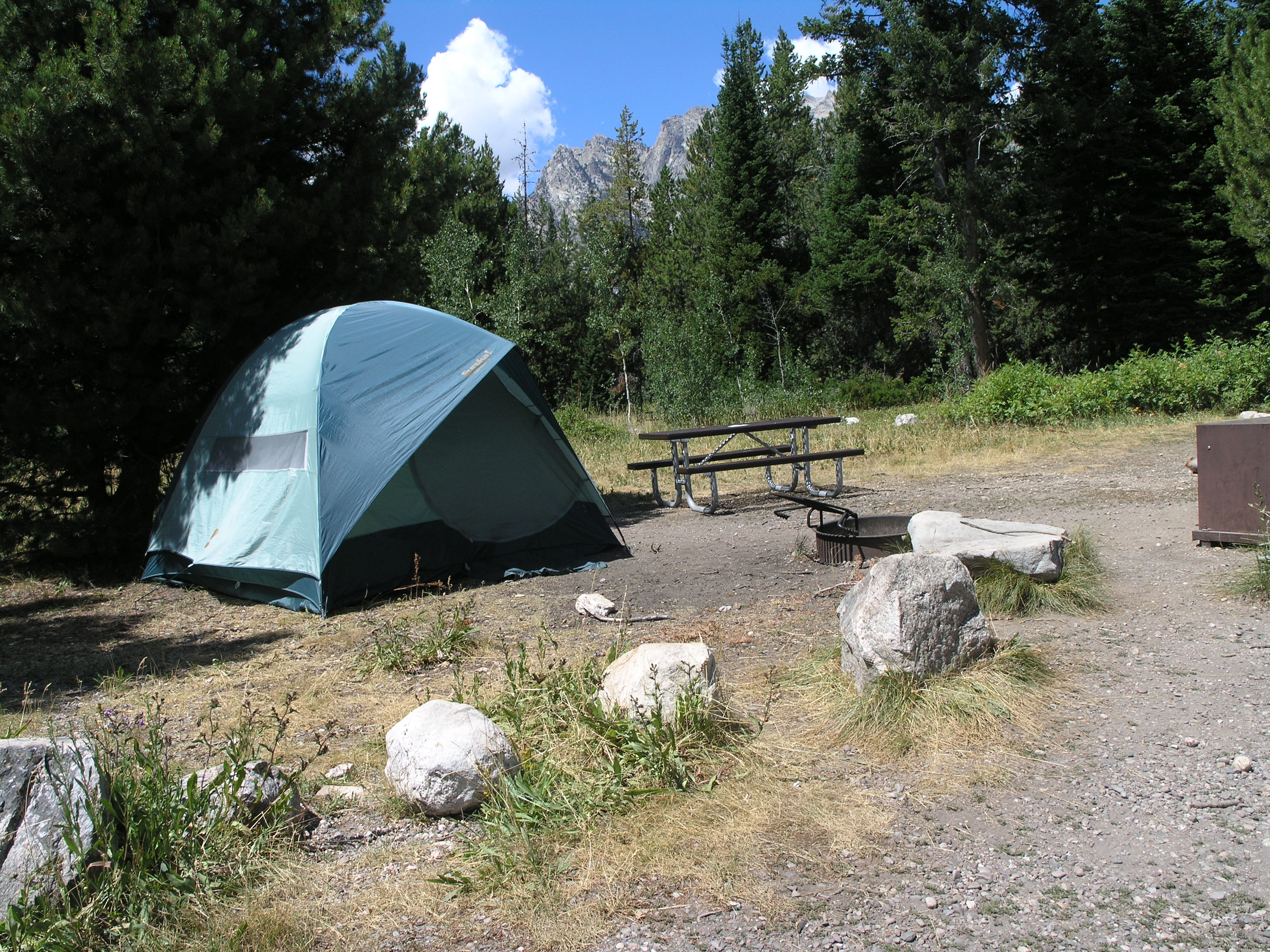 Jenny Lake campsite with blue tent in the sun and lodgepole pines behind.