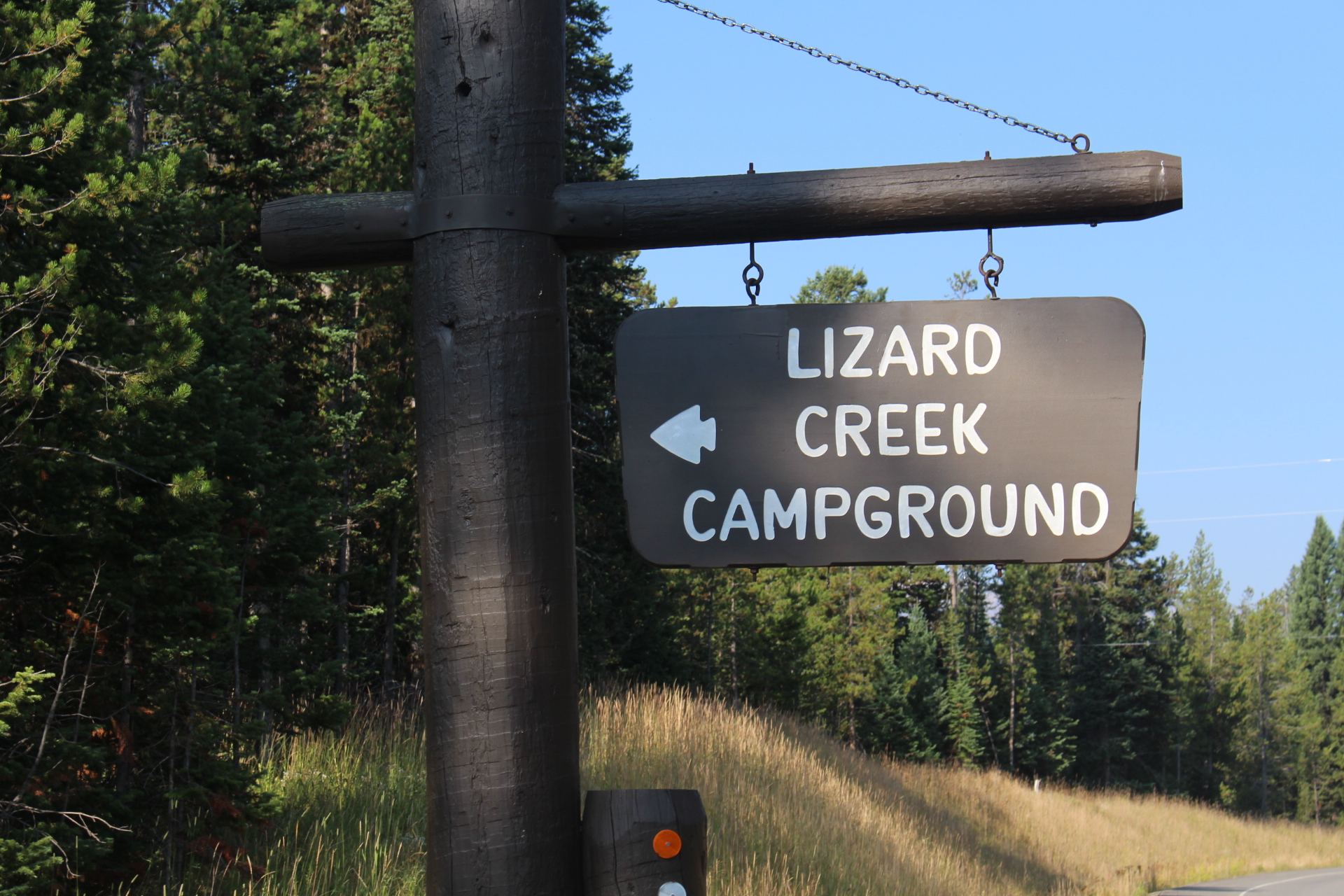 Lizard Creek campground sign with conifers and blue sky.