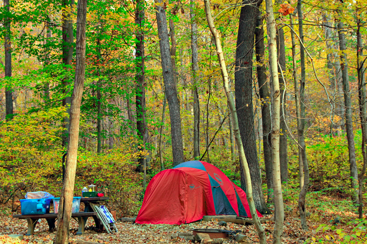 Red tent and camping gear on campsite
