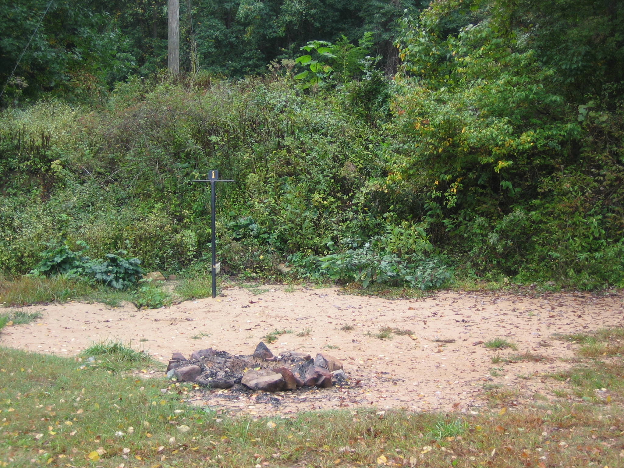 A sandy campsite with a fire ring near some green shrubby plants.