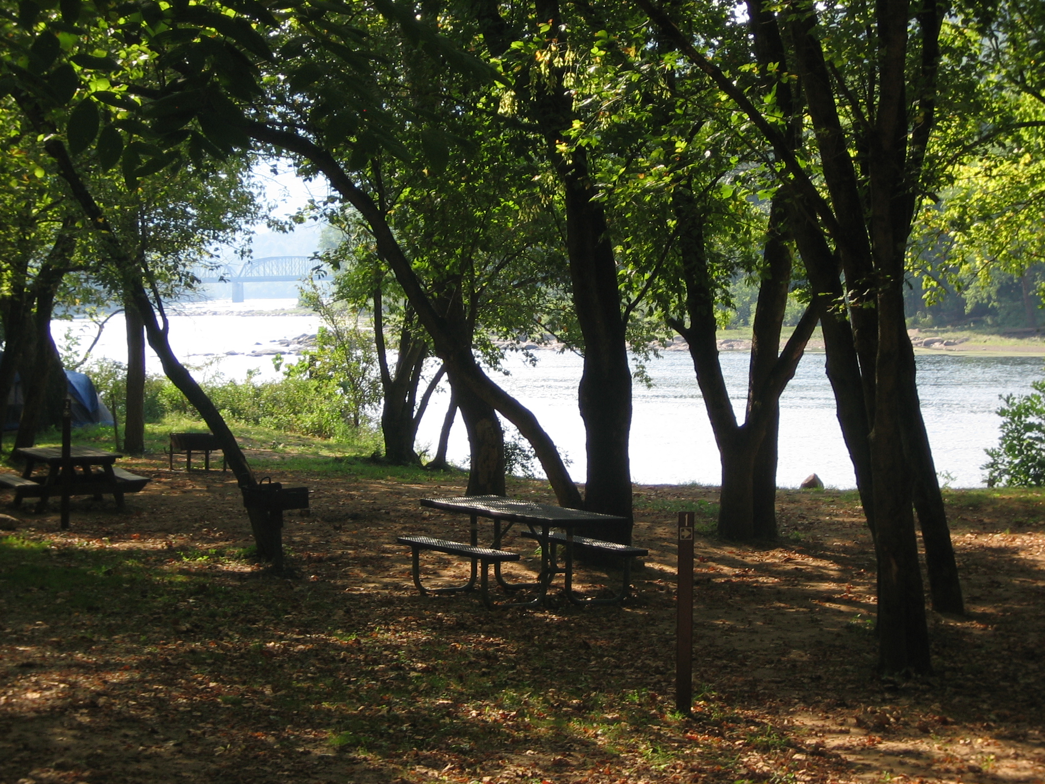 A campsite with a picnic table and grill surrounded by trees and next to a large river.